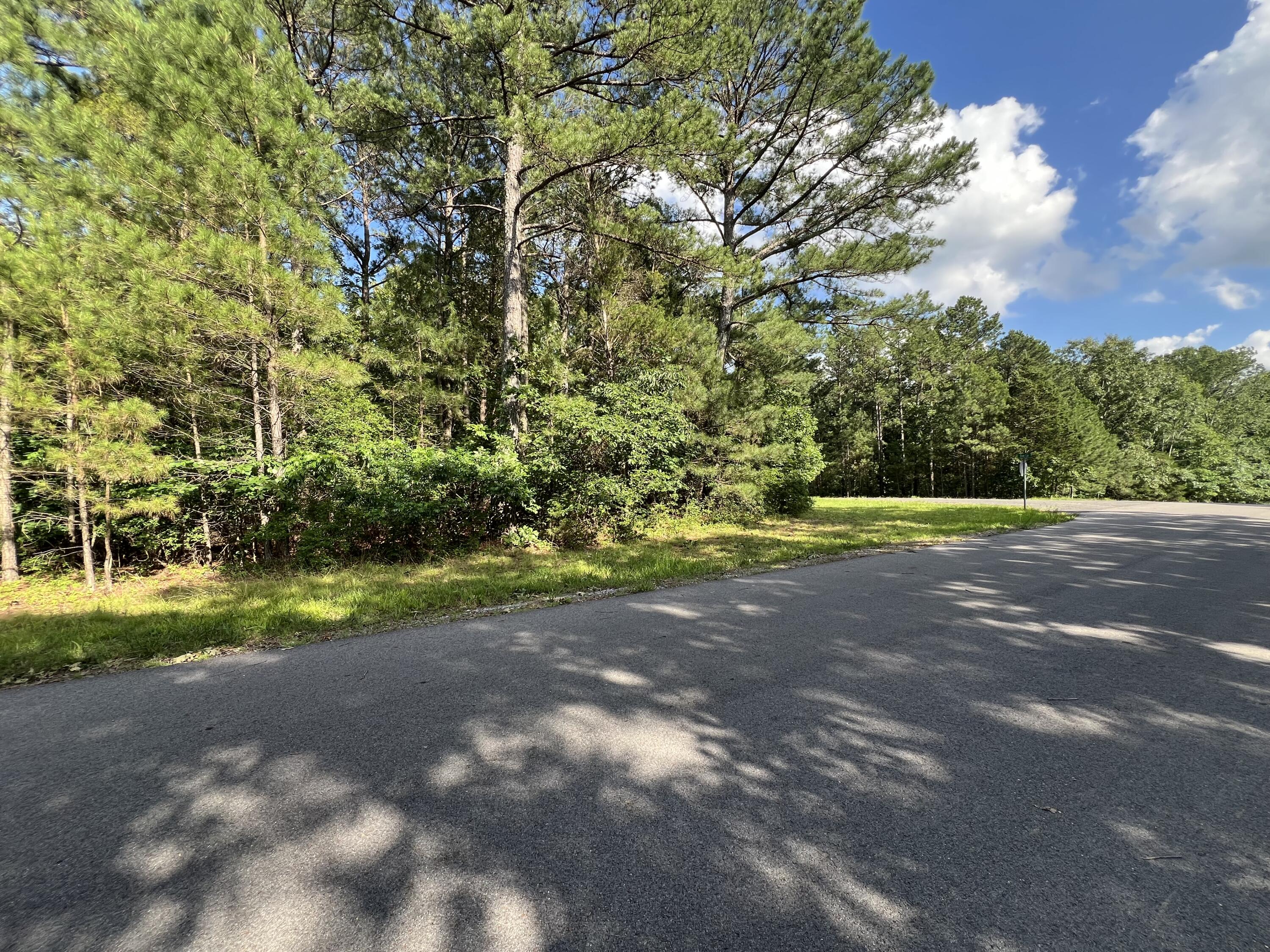 Unit 1 Lot 47 Waterfowl Road Property Photo 14