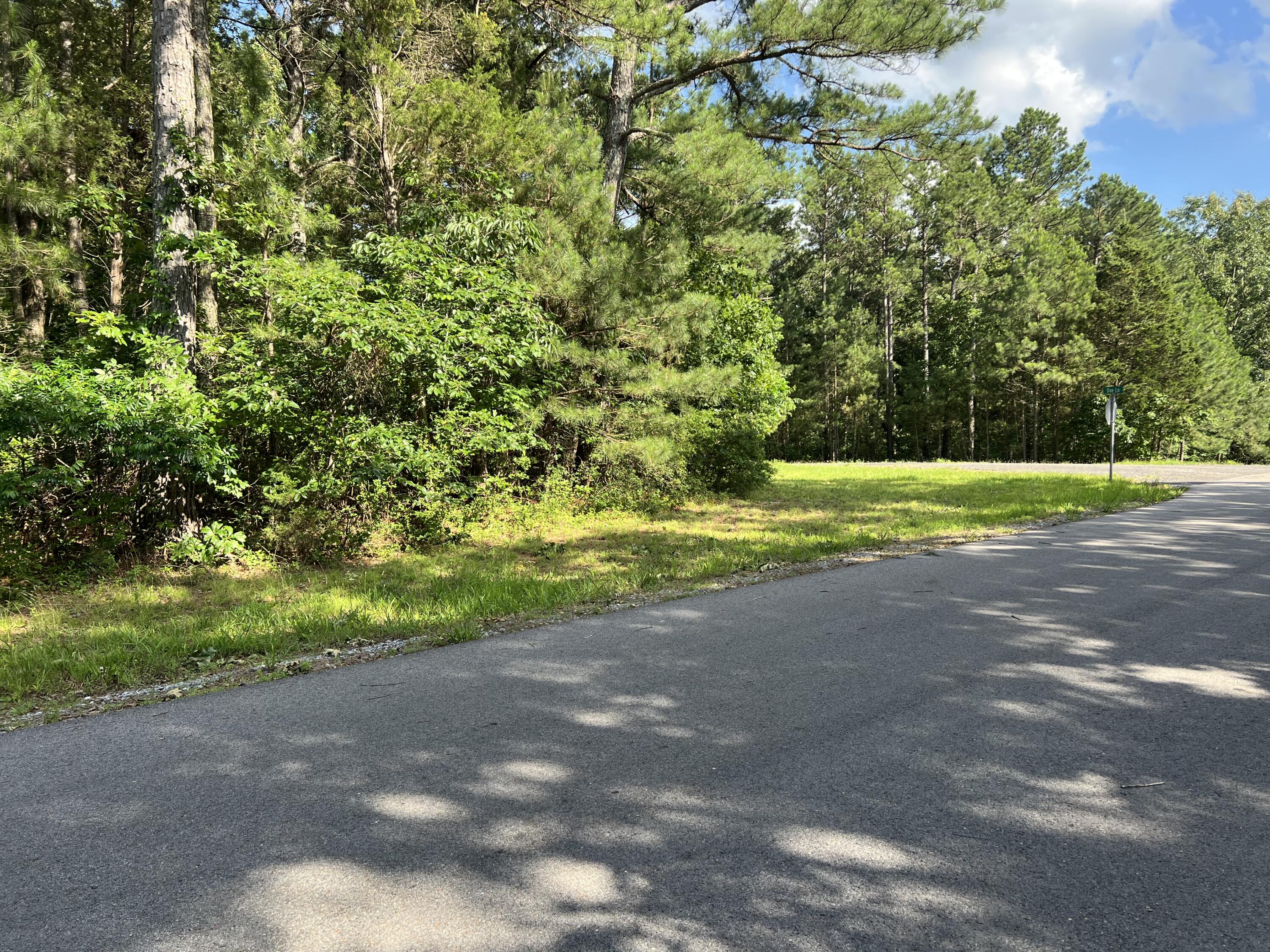 Unit 1 Lot 47 Waterfowl Road Property Photo 15