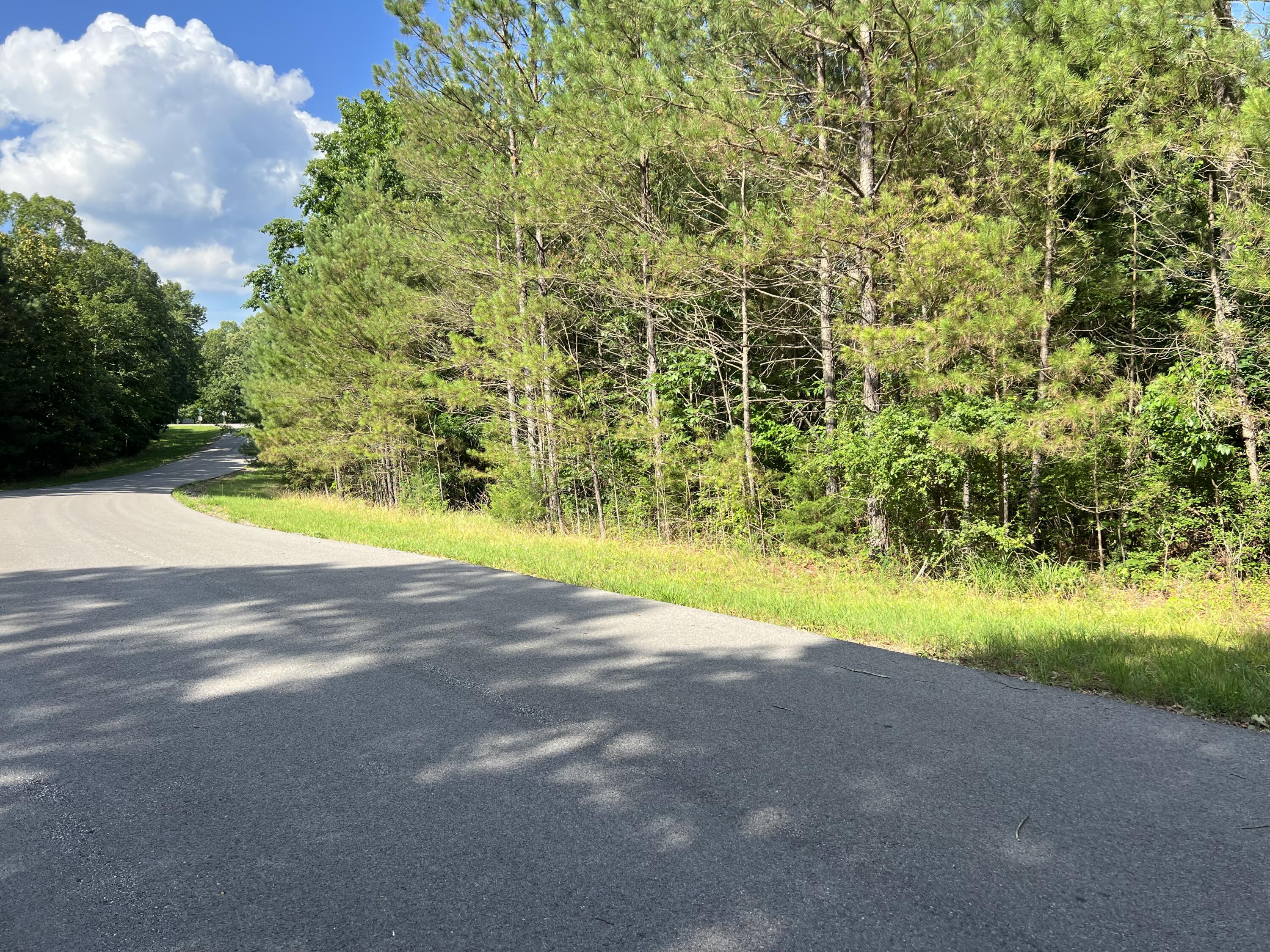 Unit 1 Lot 47 Waterfowl Road Property Photo 16