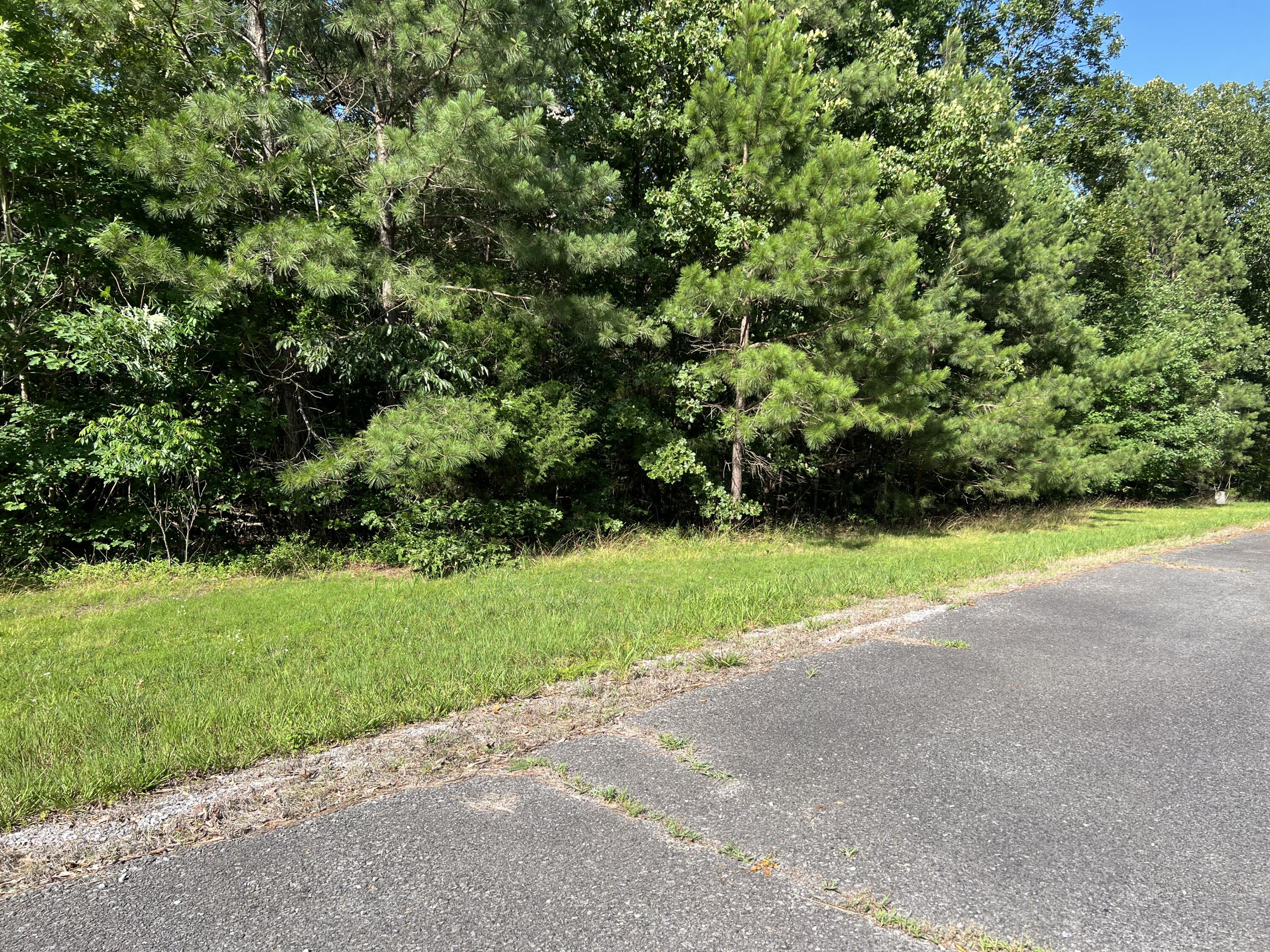 Unit 1 Lot 47 Waterfowl Road Property Photo 17