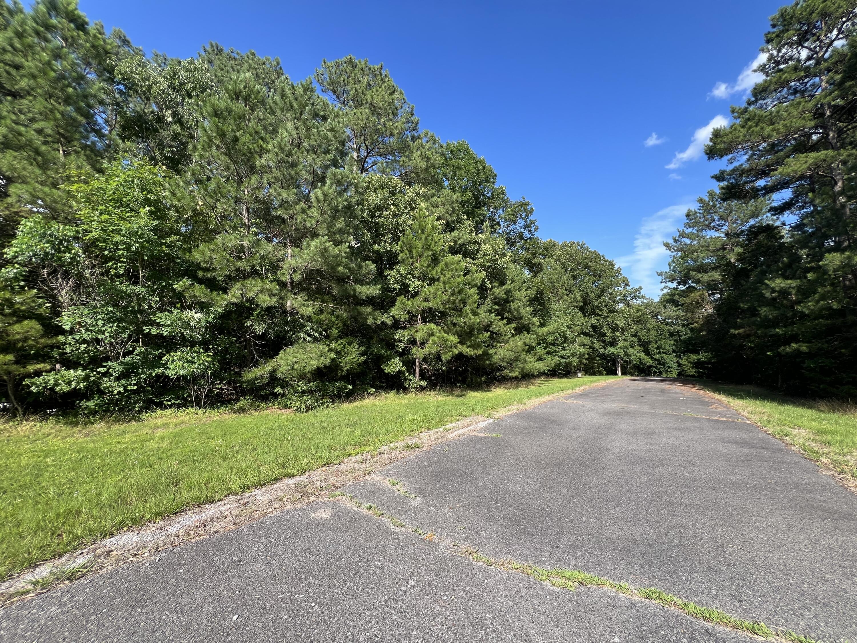 Unit 1 Lot 47 Waterfowl Road Property Photo 18
