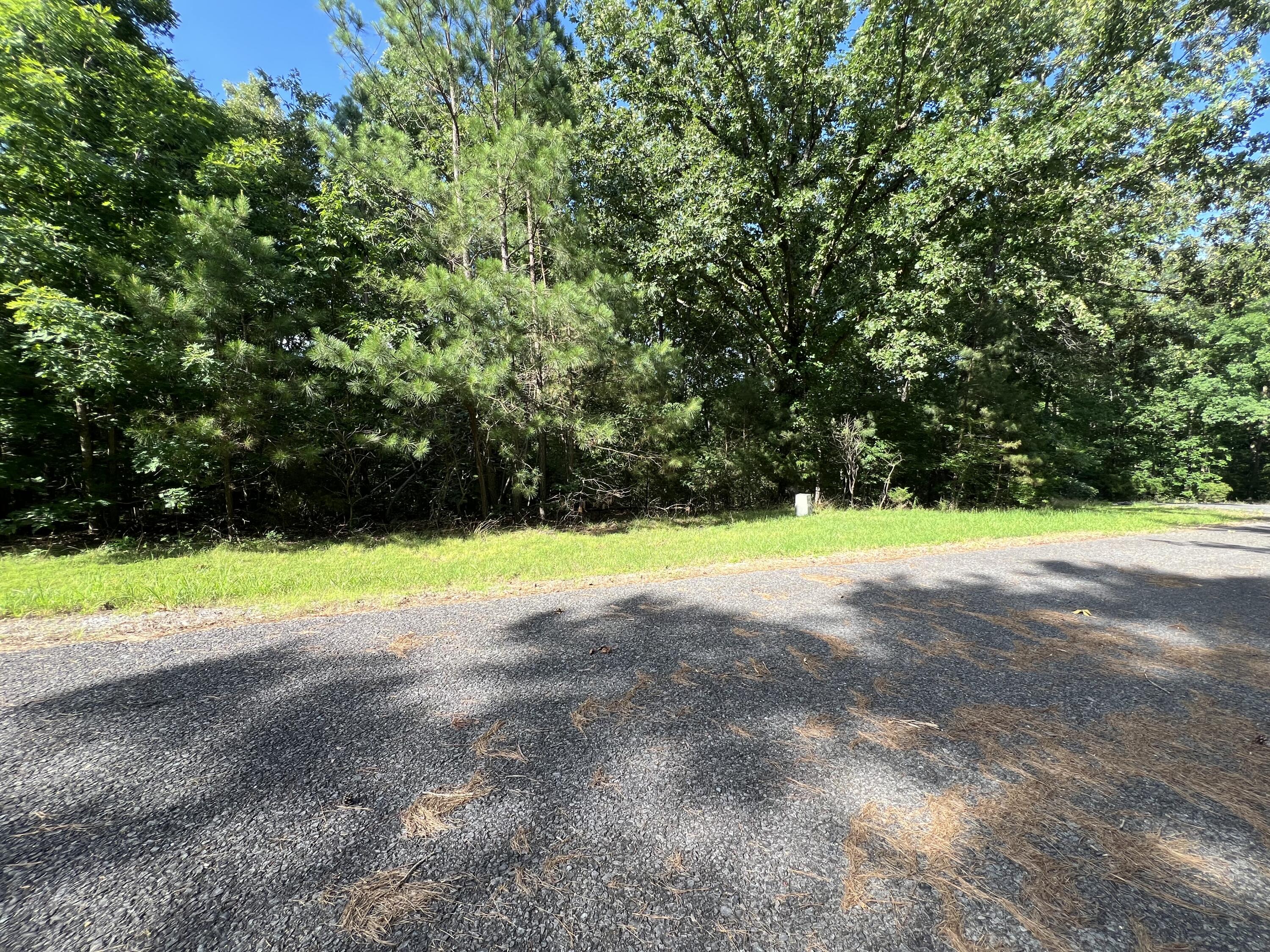 Unit 1 Lot 47 Waterfowl Road Property Photo 19