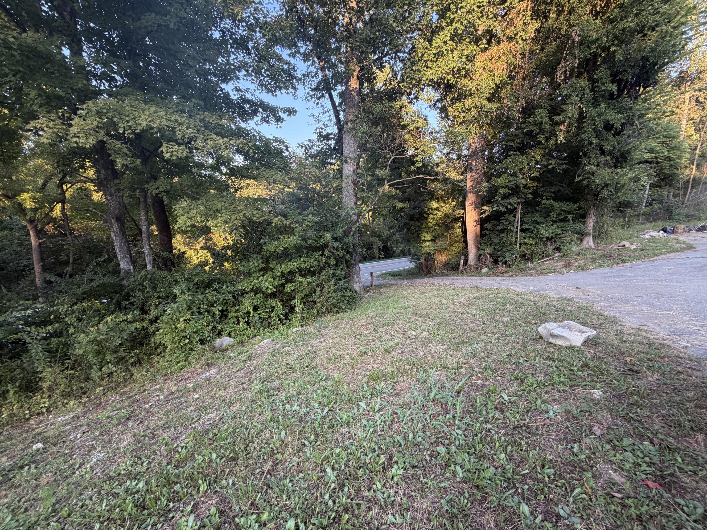 13617 U.s. 421 Property Photo 7