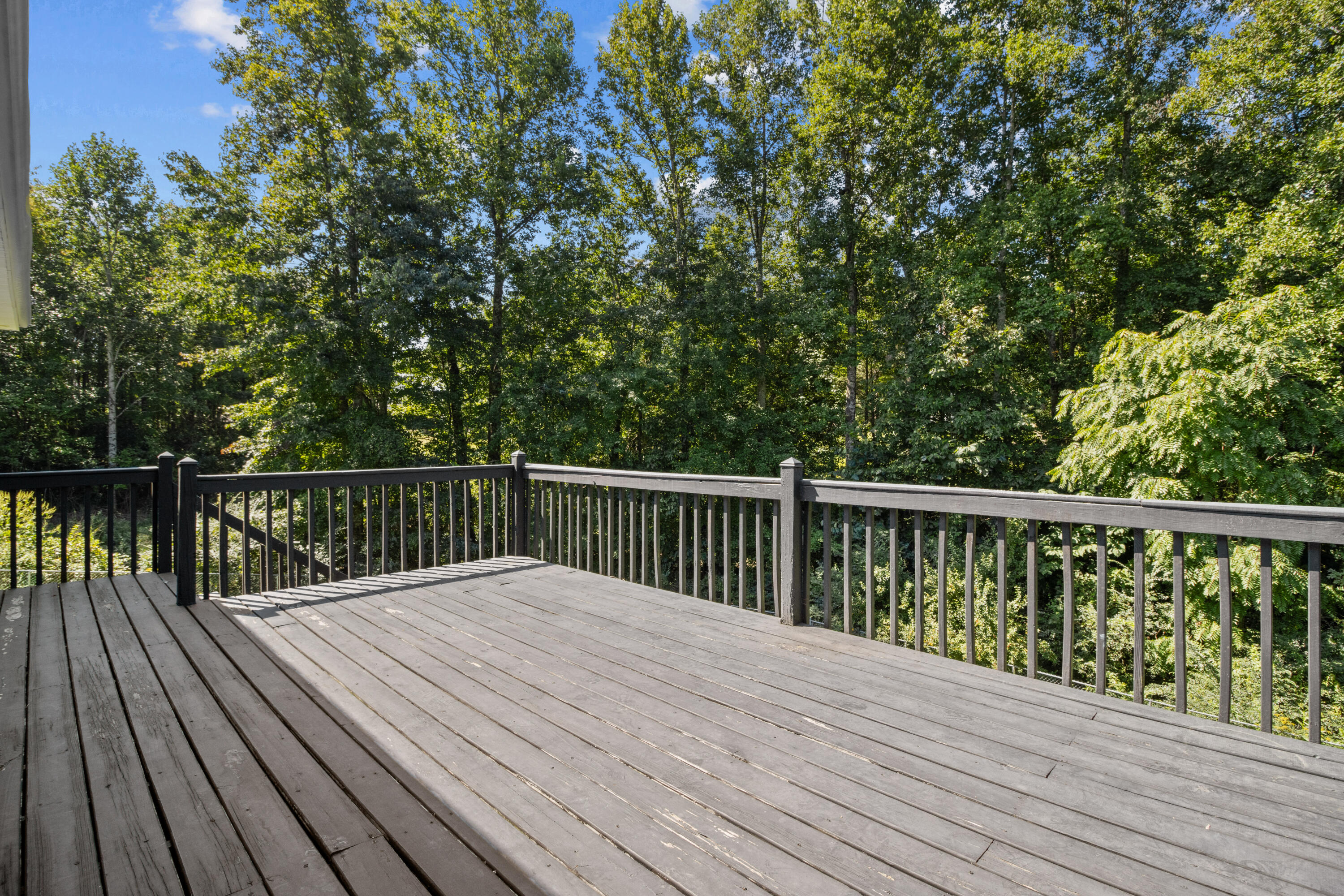 118 Jackson County High School Road Property Photo 38