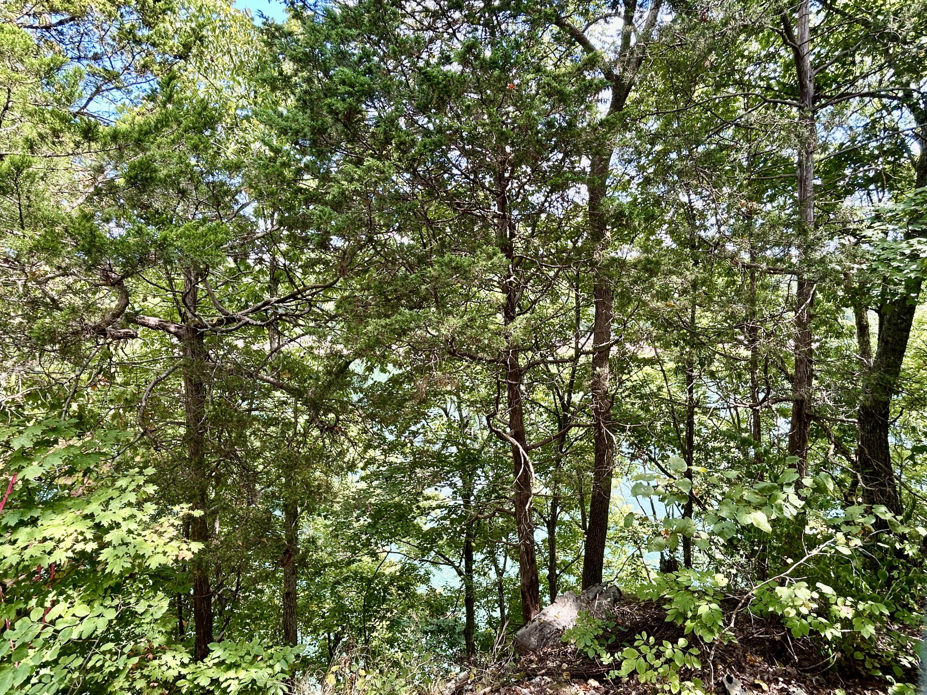 600 Colyer Road Property Photo 47
