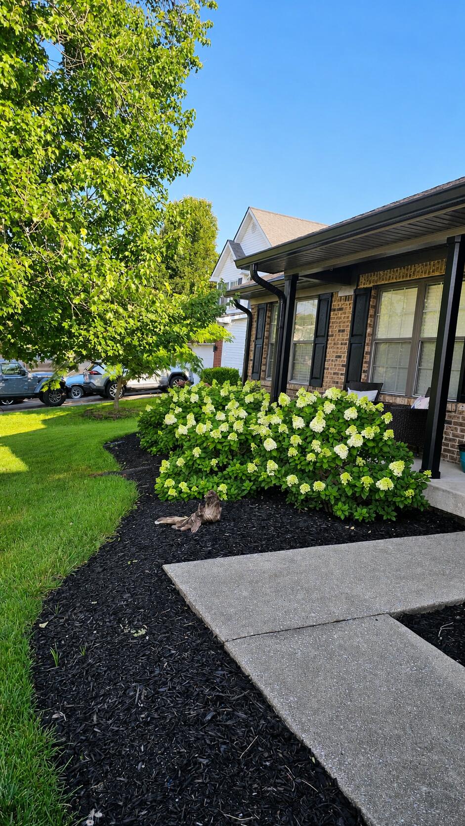 358 Hanover Drive Property Photo 14