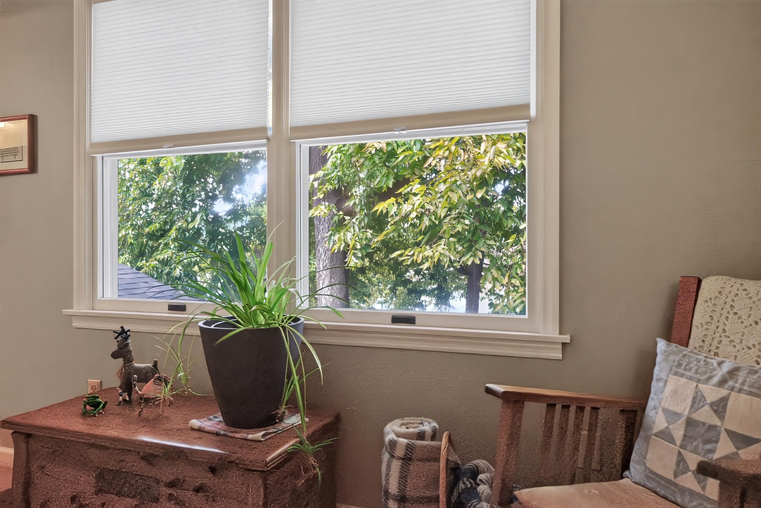 45 Woodhaven Road Property Photo 23