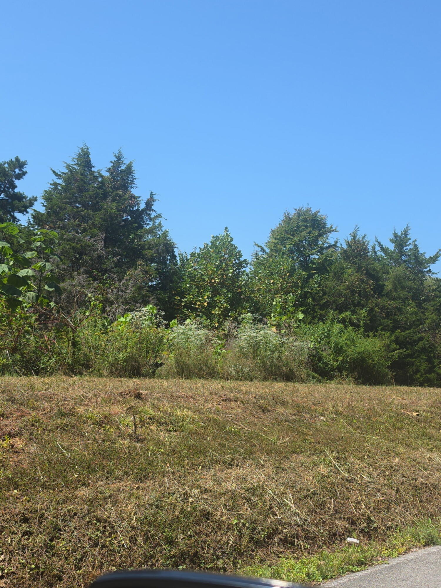 6 Bridge Hollow Road Property Photo 2