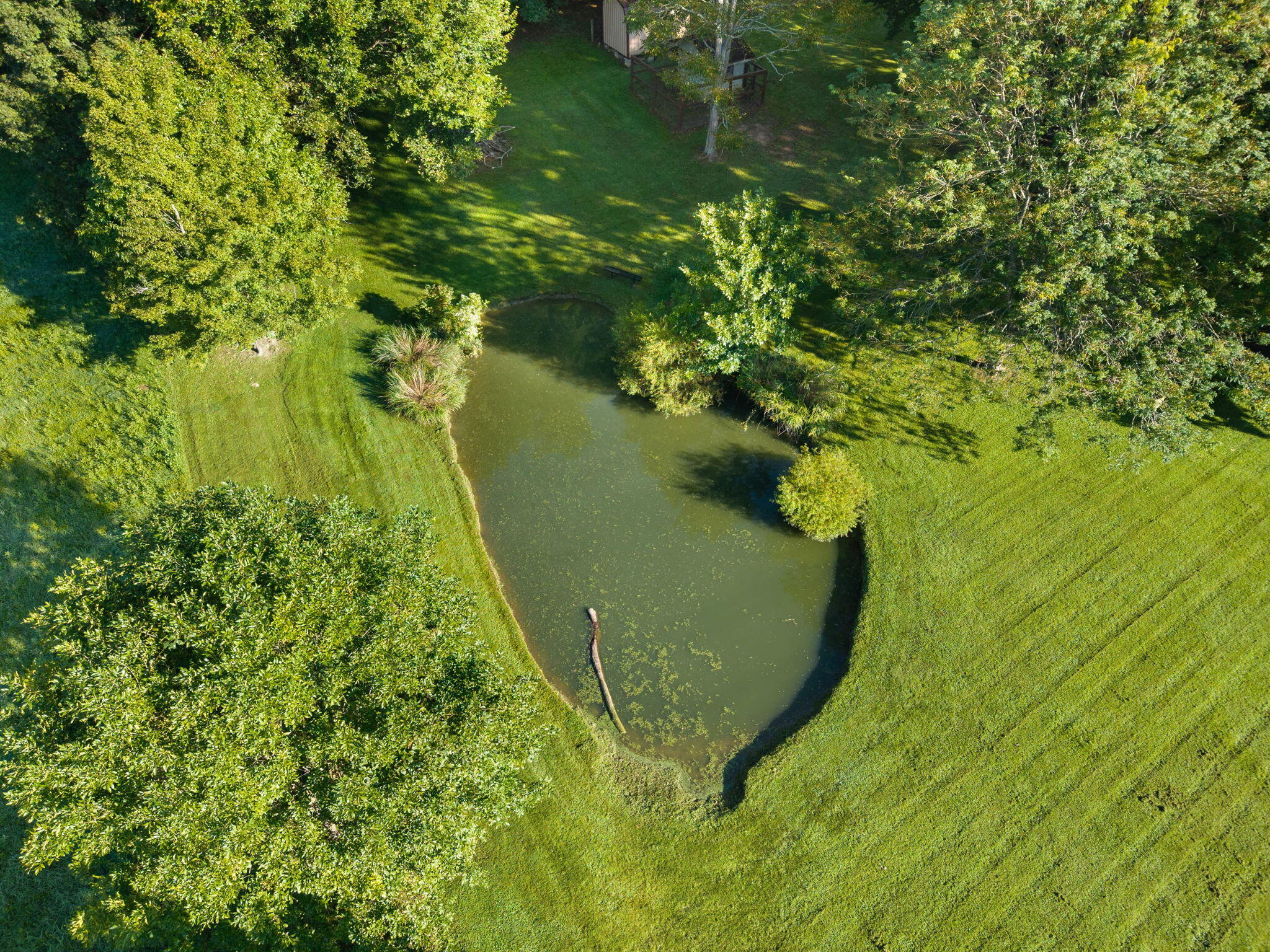 5084 Middle Fork Road Property Photo 9