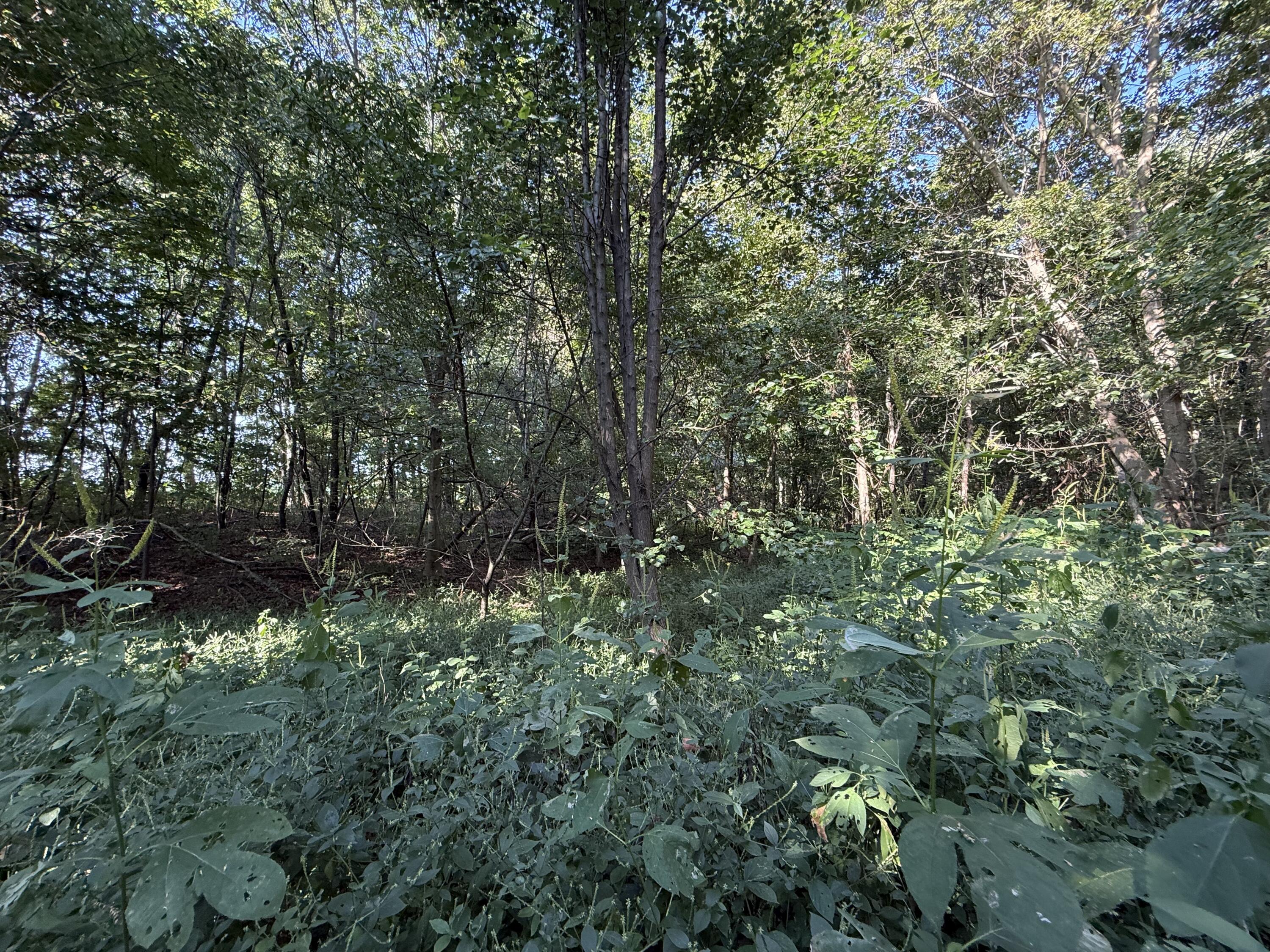 50 Cagle Road Property Photo 8
