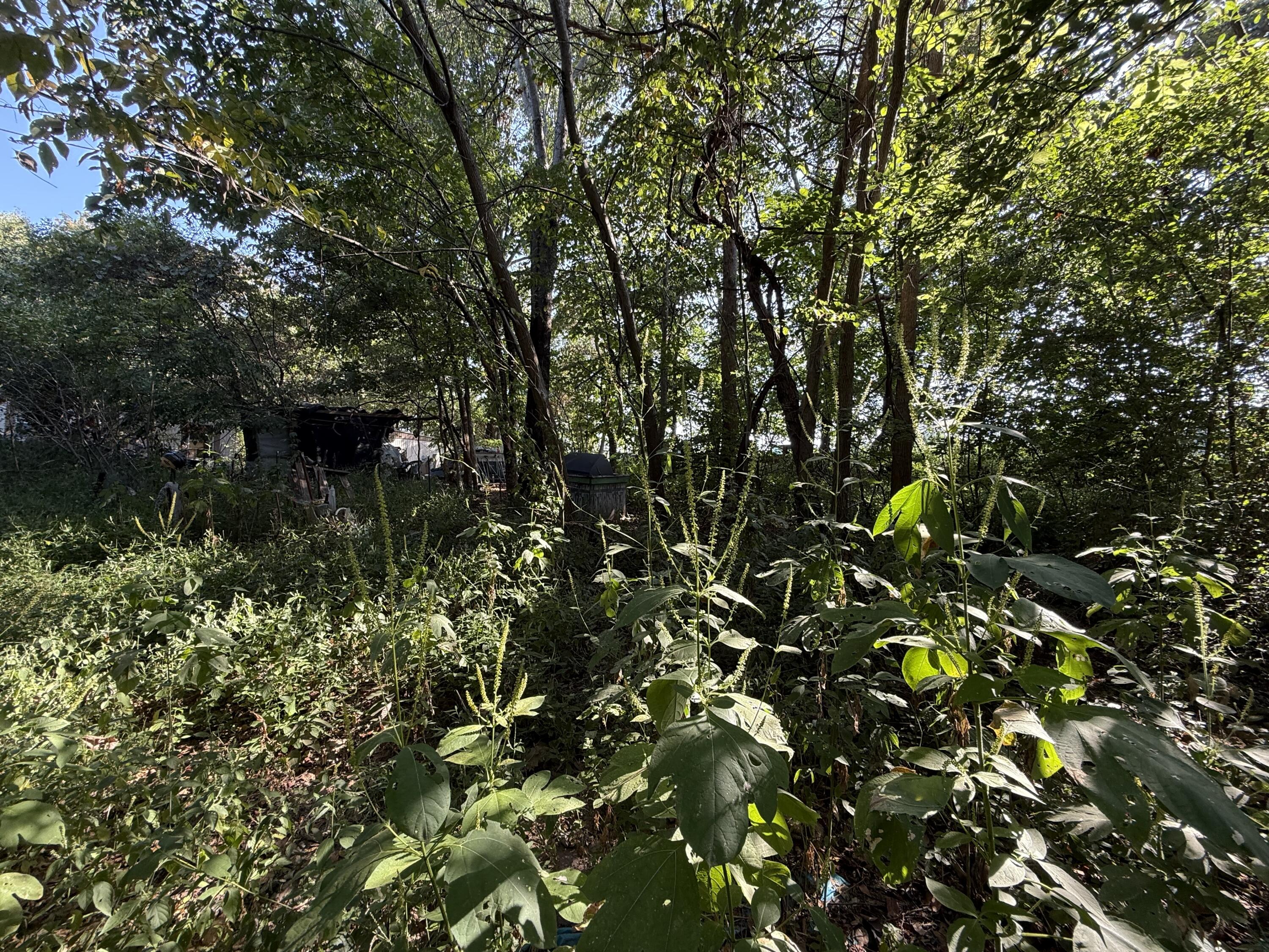 50 Cagle Road Property Photo 9