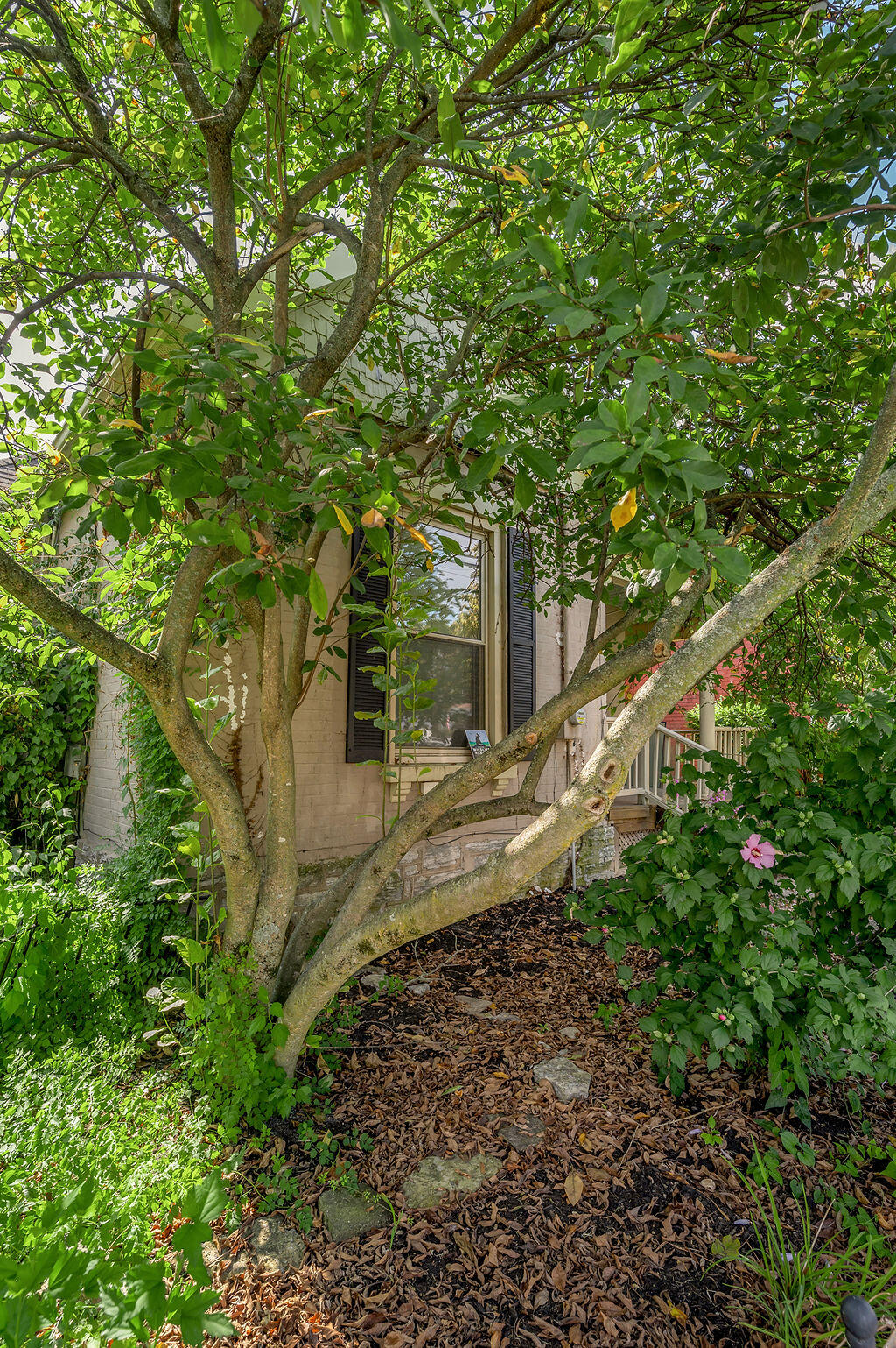 238 E Fourth Street Property Photo 4