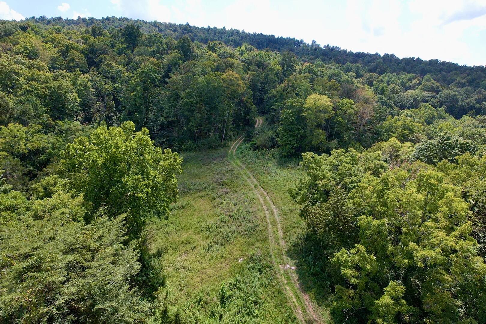 0 Phillips Hollow Road Property Photo 5