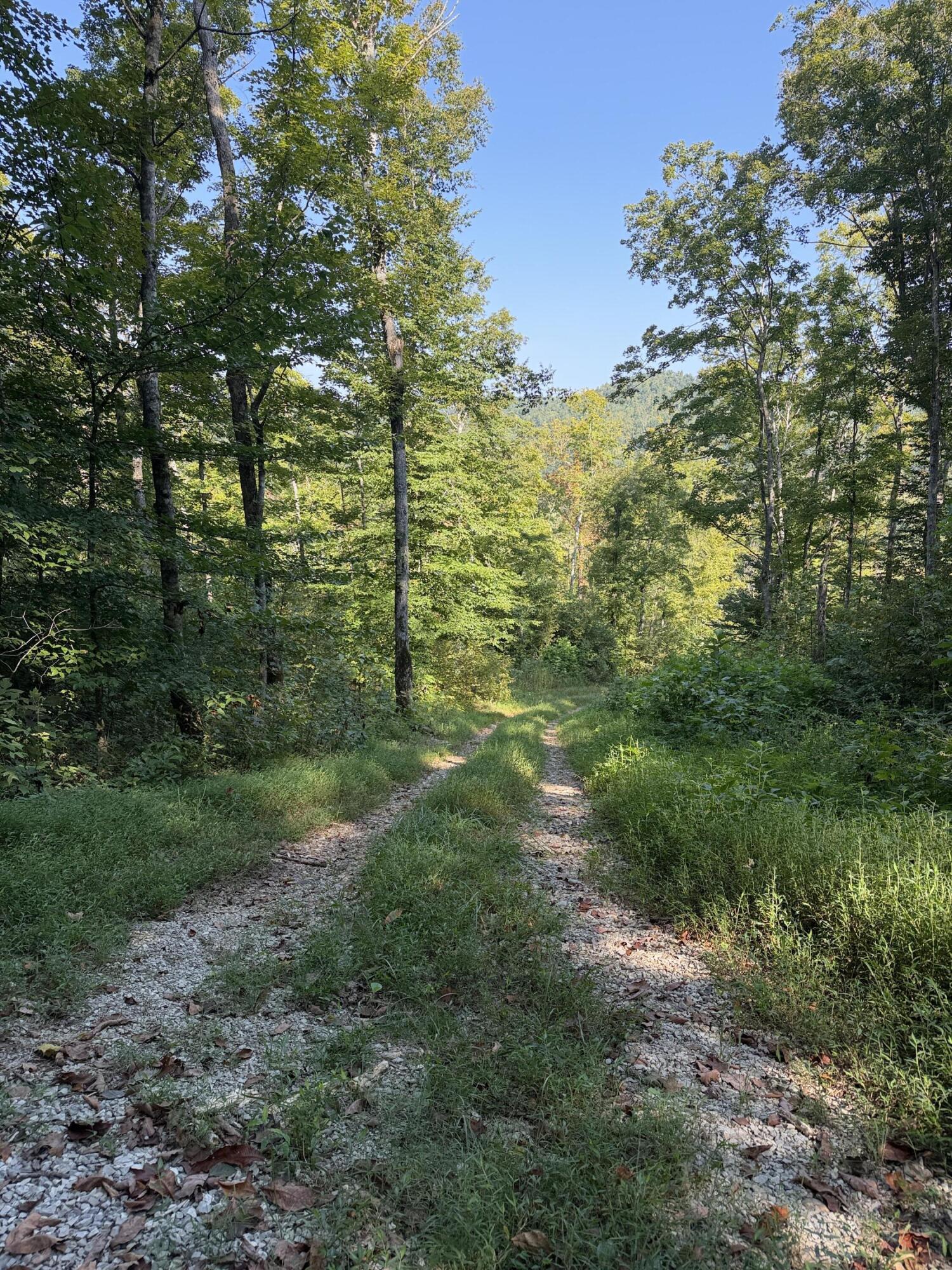 0 Phillips Hollow Road Property Photo 6