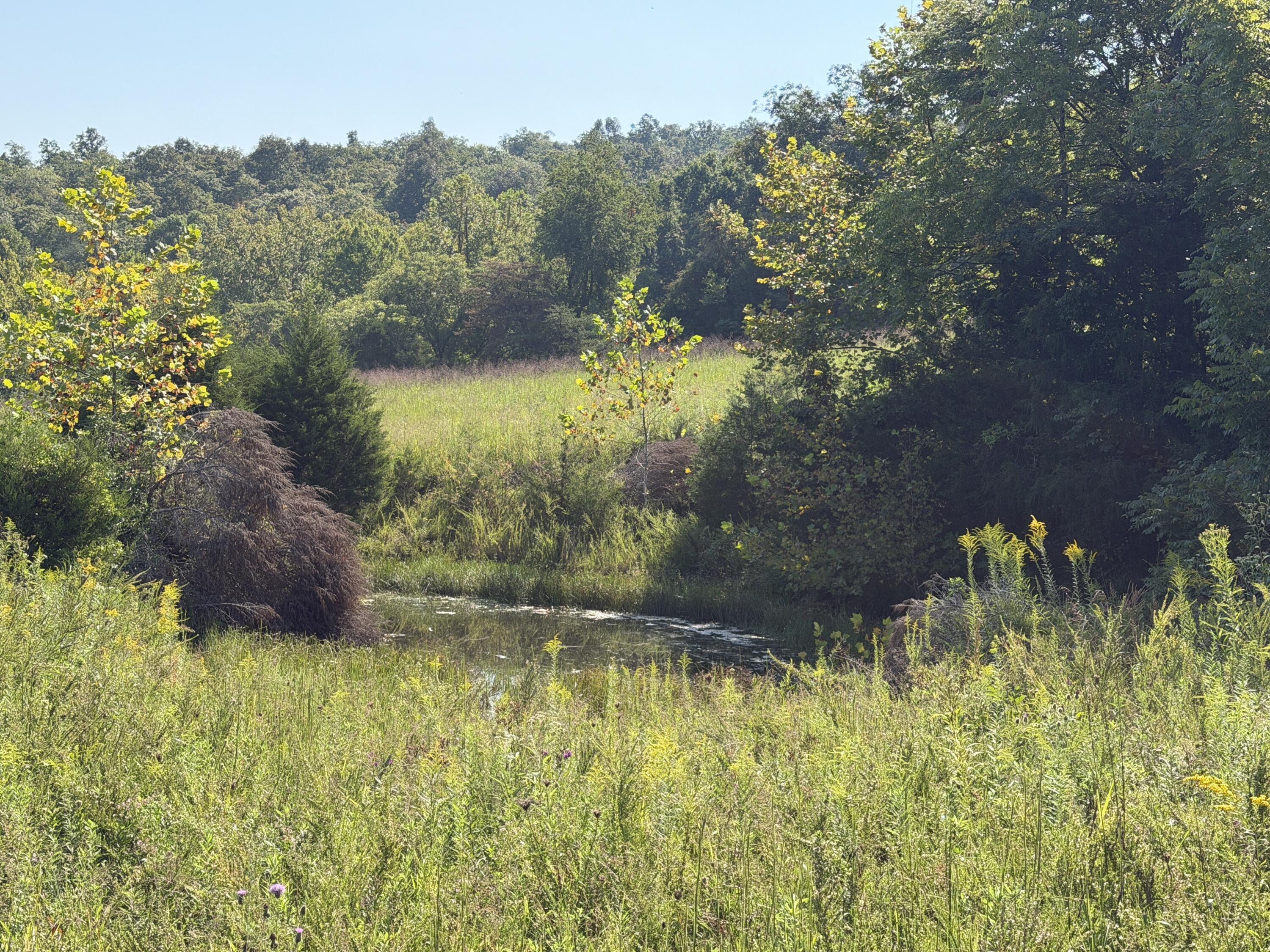 0 Phillips Hollow Road Property Photo 7