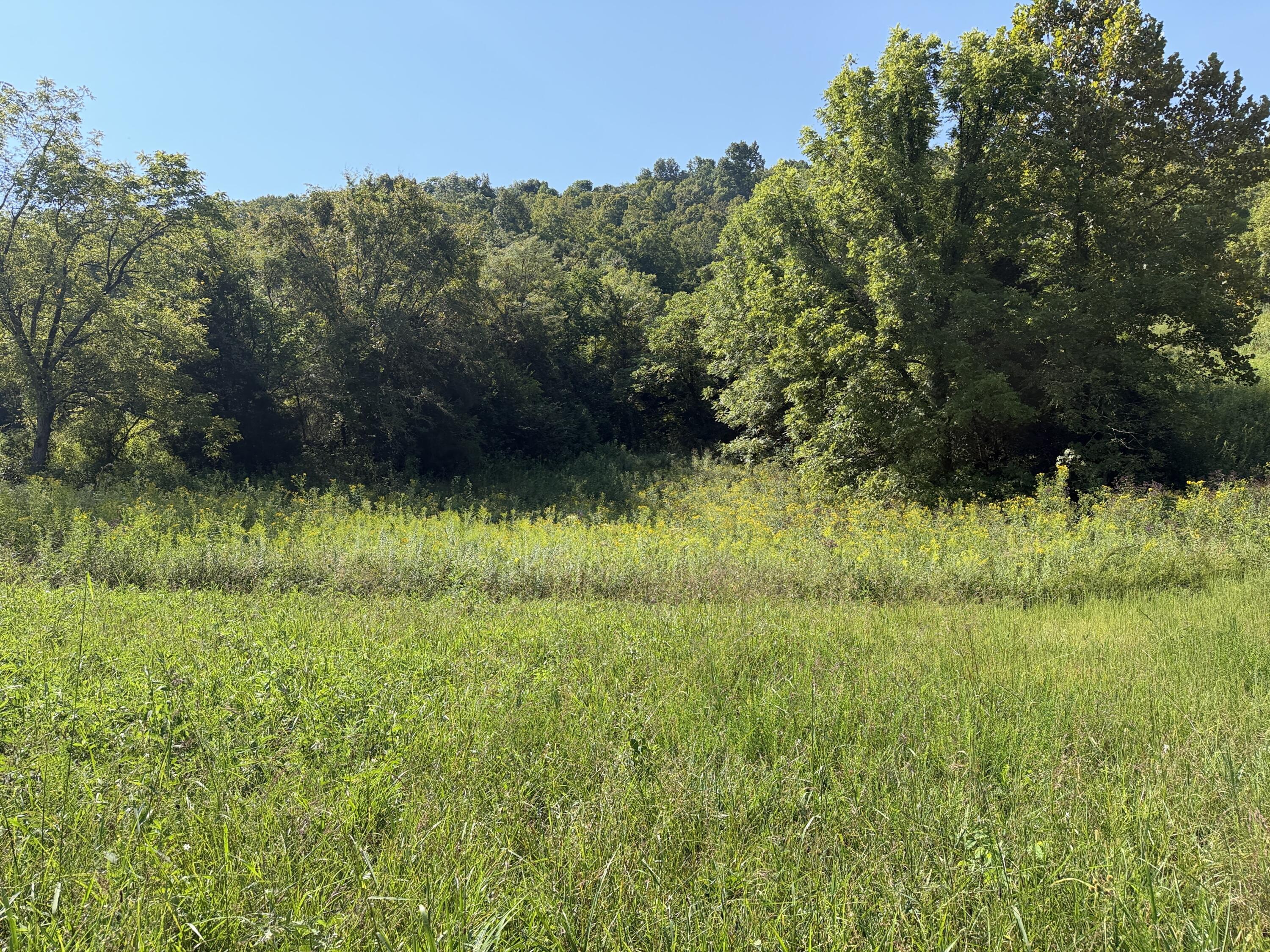 0 Phillips Hollow Road Property Photo 9