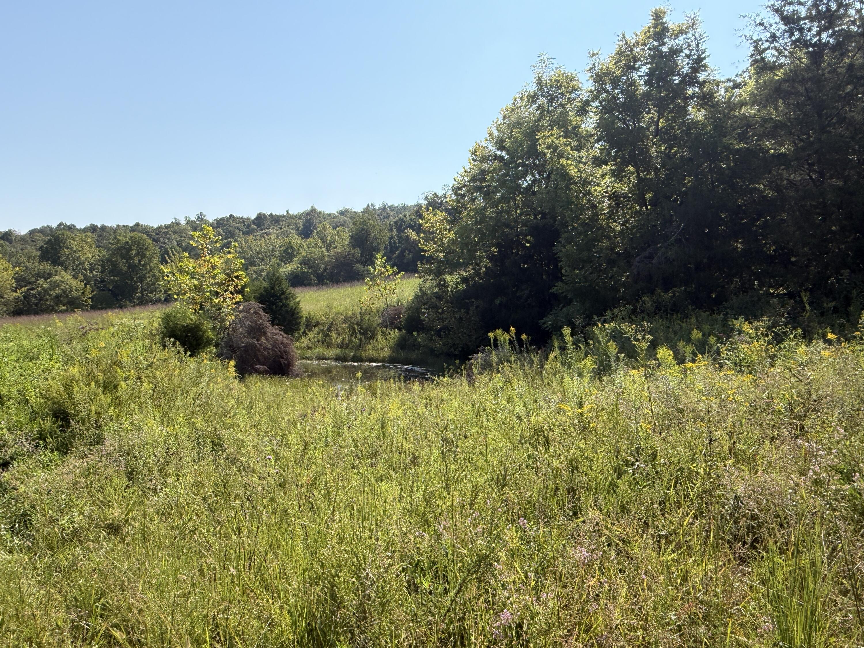 0 Phillips Hollow Road Property Photo 10