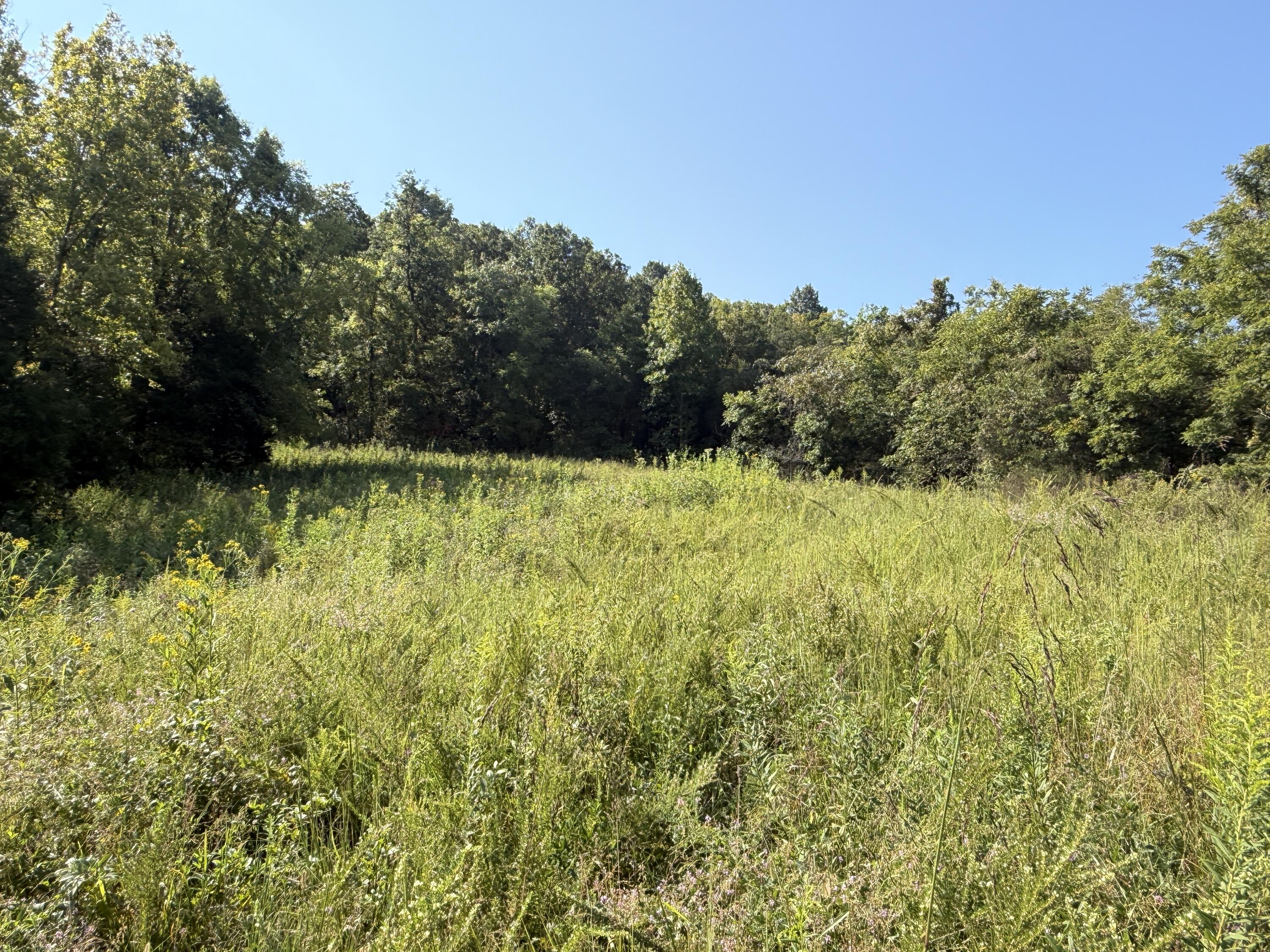 0 Phillips Hollow Road Property Photo 11