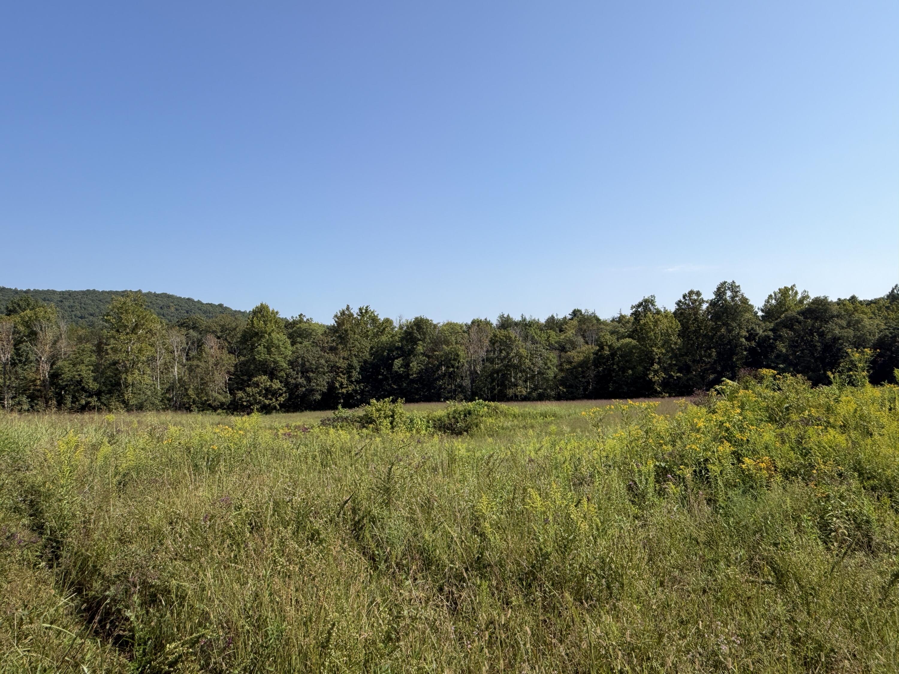 0 Phillips Hollow Road Property Photo 13
