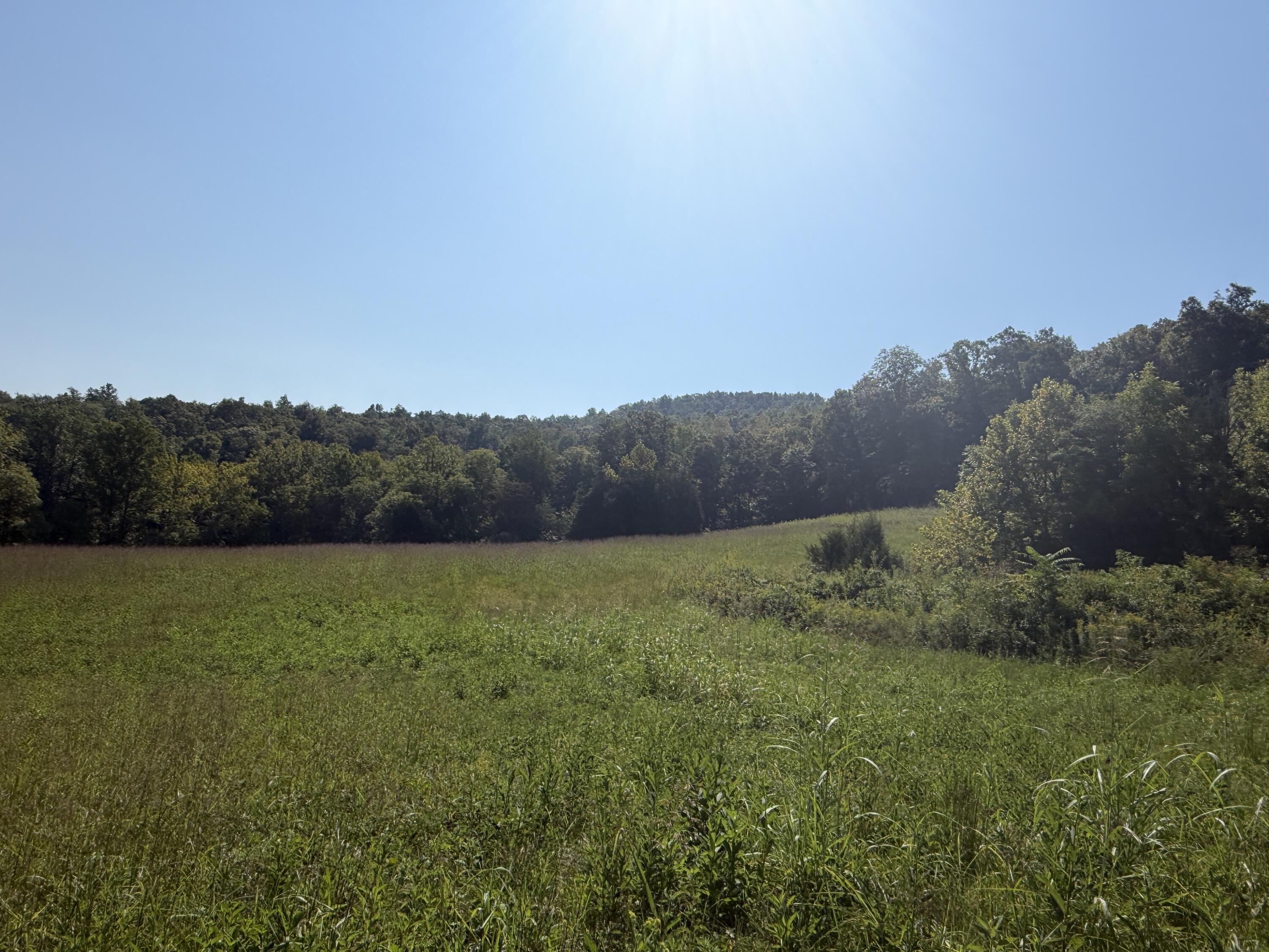 0 Phillips Hollow Road Property Photo 14