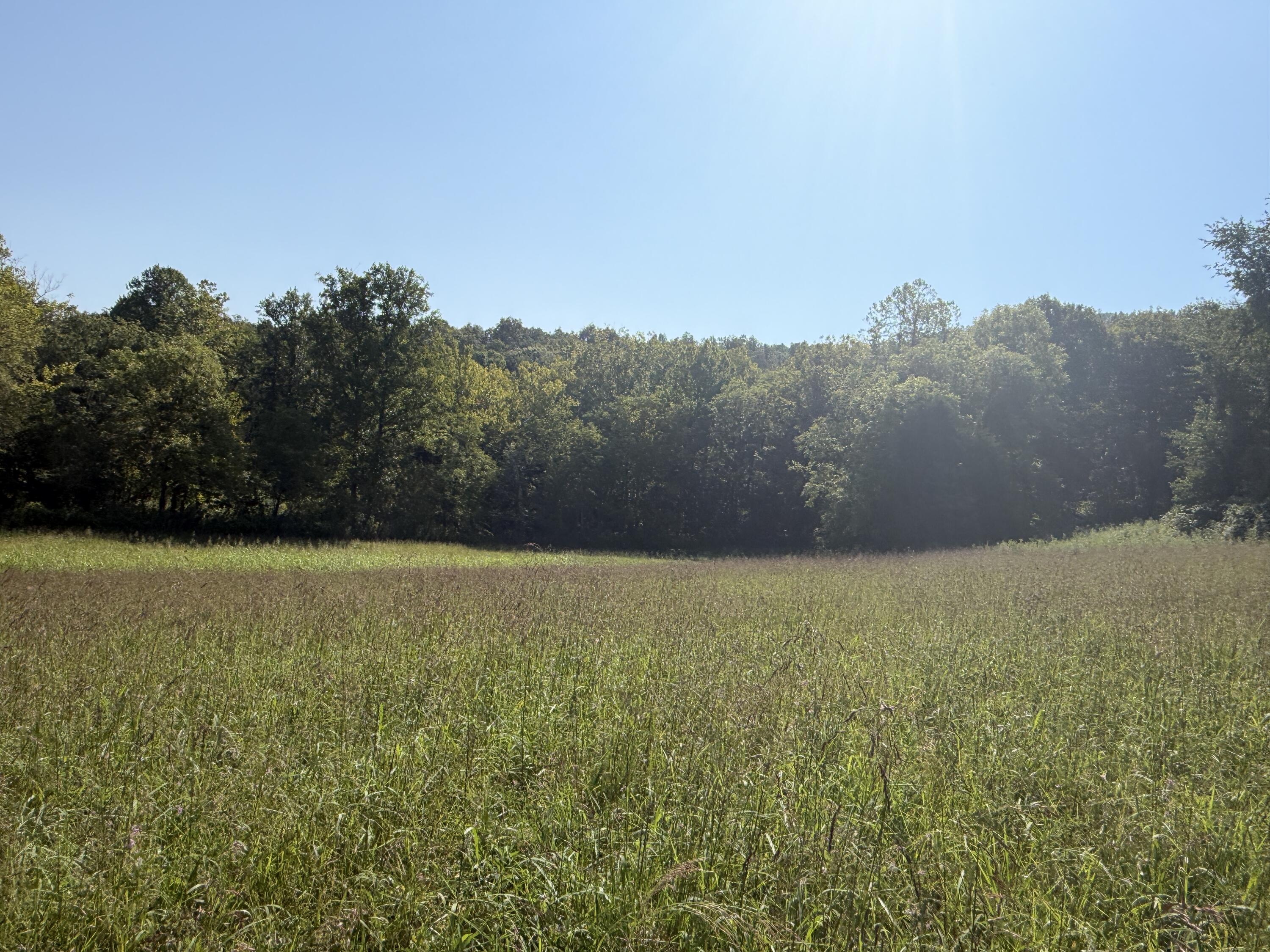 0 Phillips Hollow Road Property Photo 15