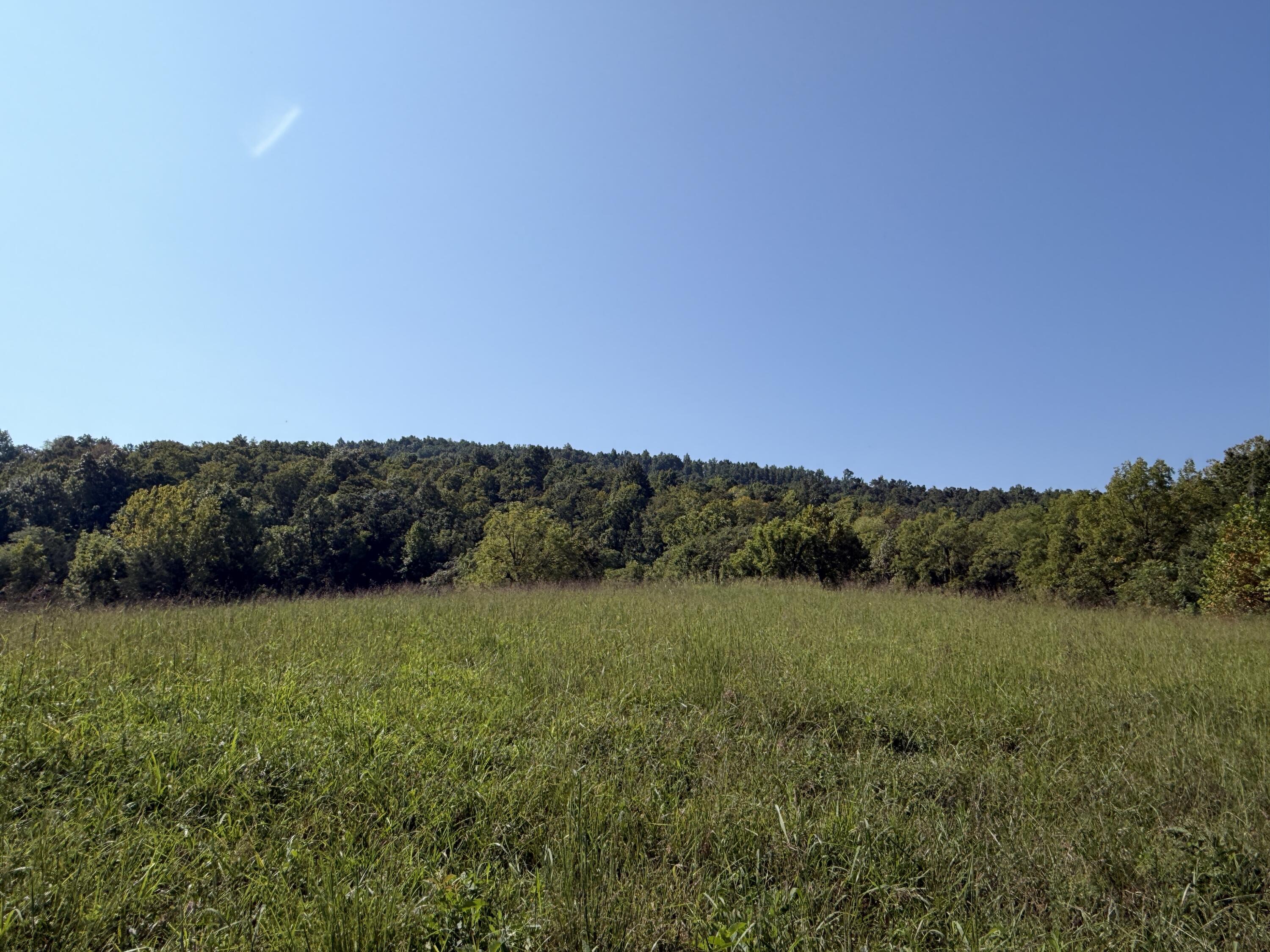 0 Phillips Hollow Road Property Photo 16