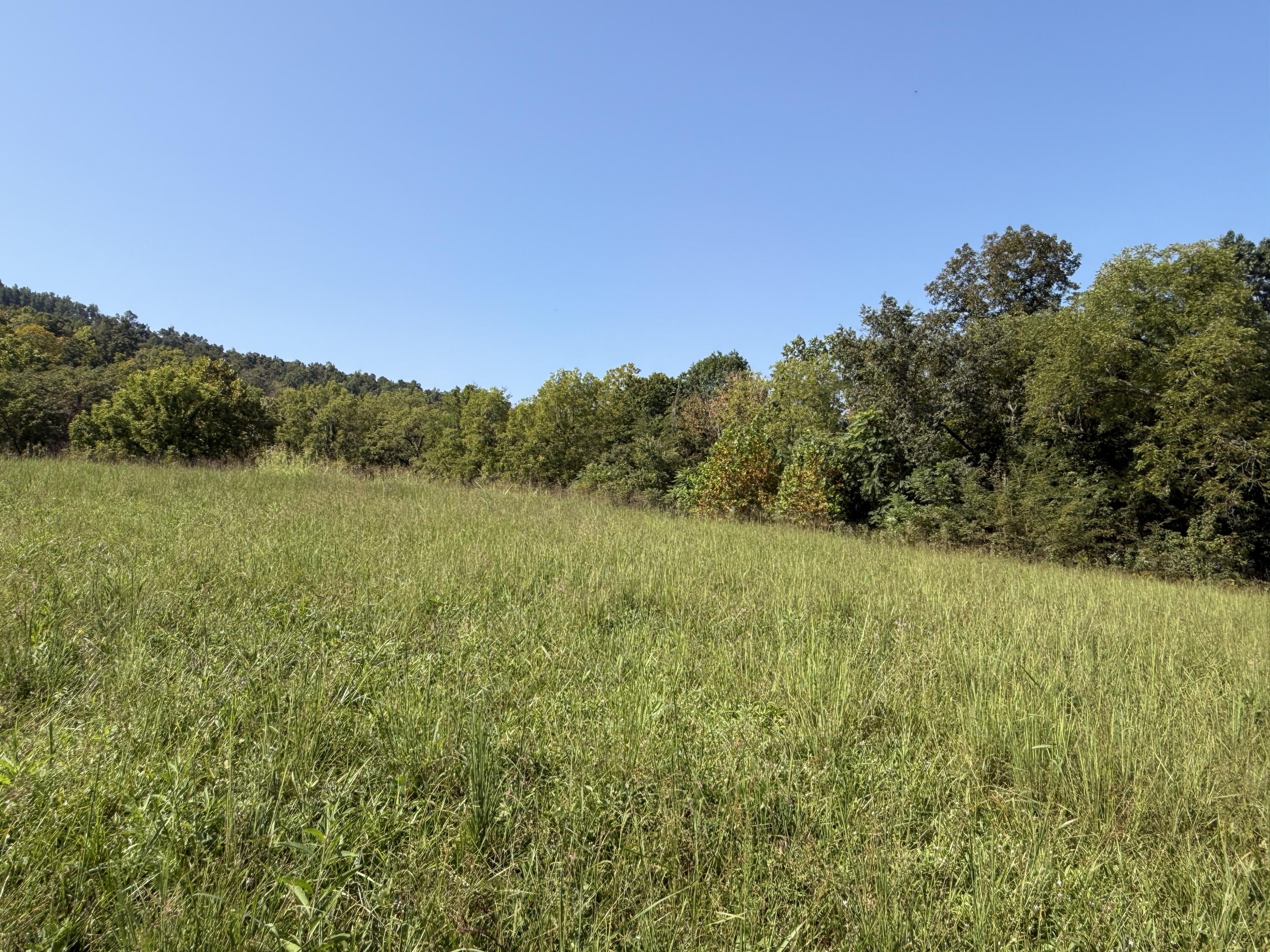 0 Phillips Hollow Road Property Photo 17