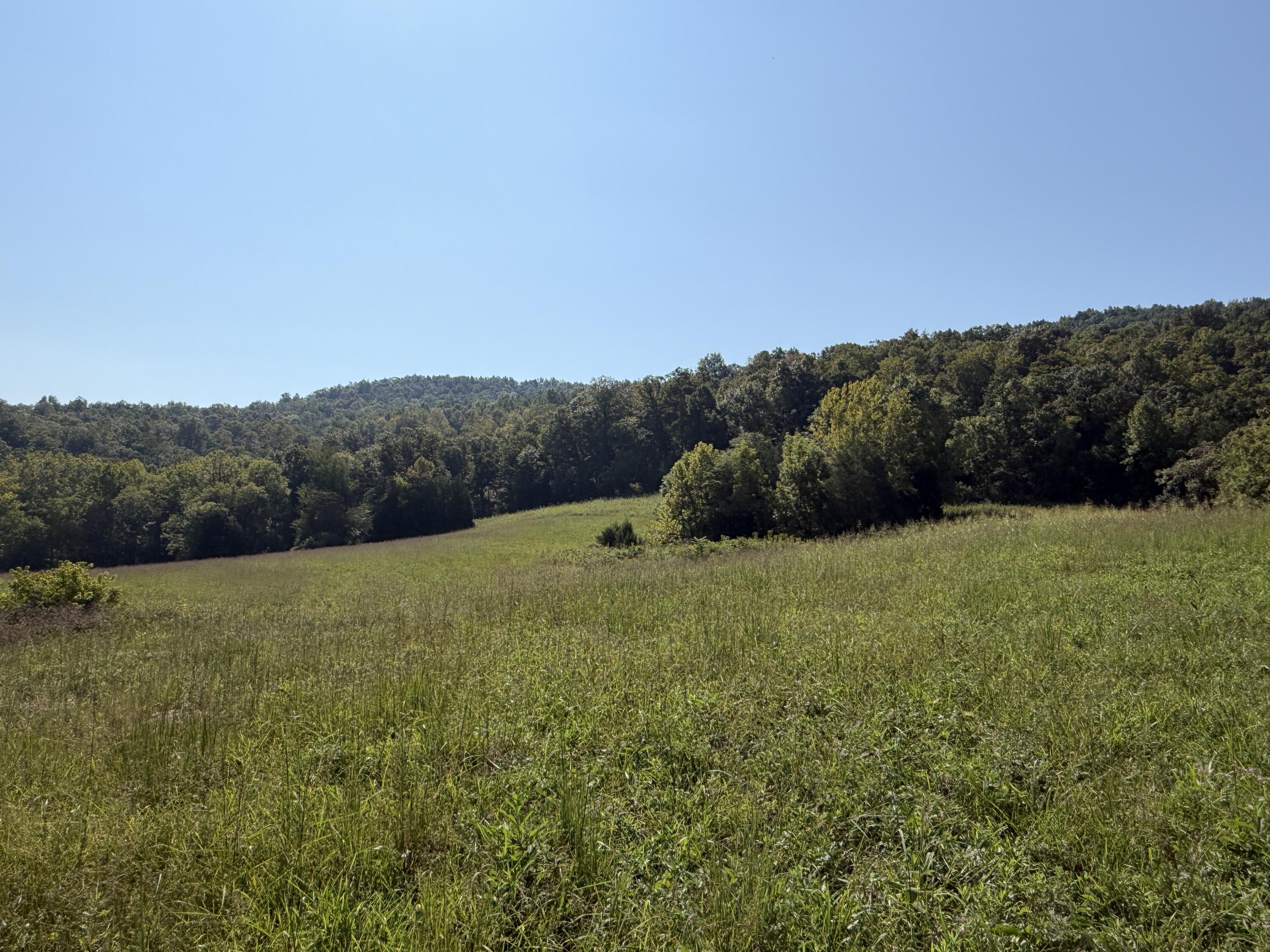 0 Phillips Hollow Road Property Photo 18