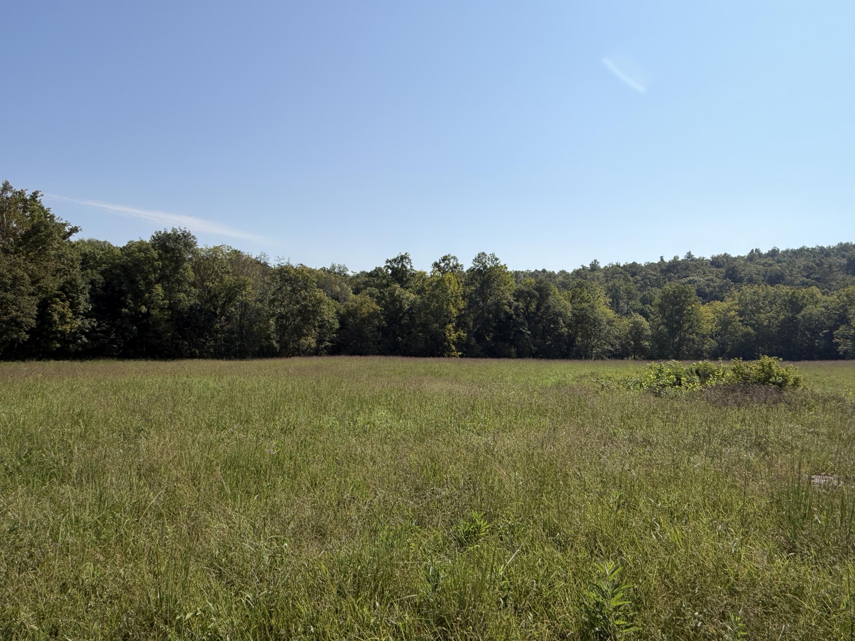 0 Phillips Hollow Road Property Photo 19