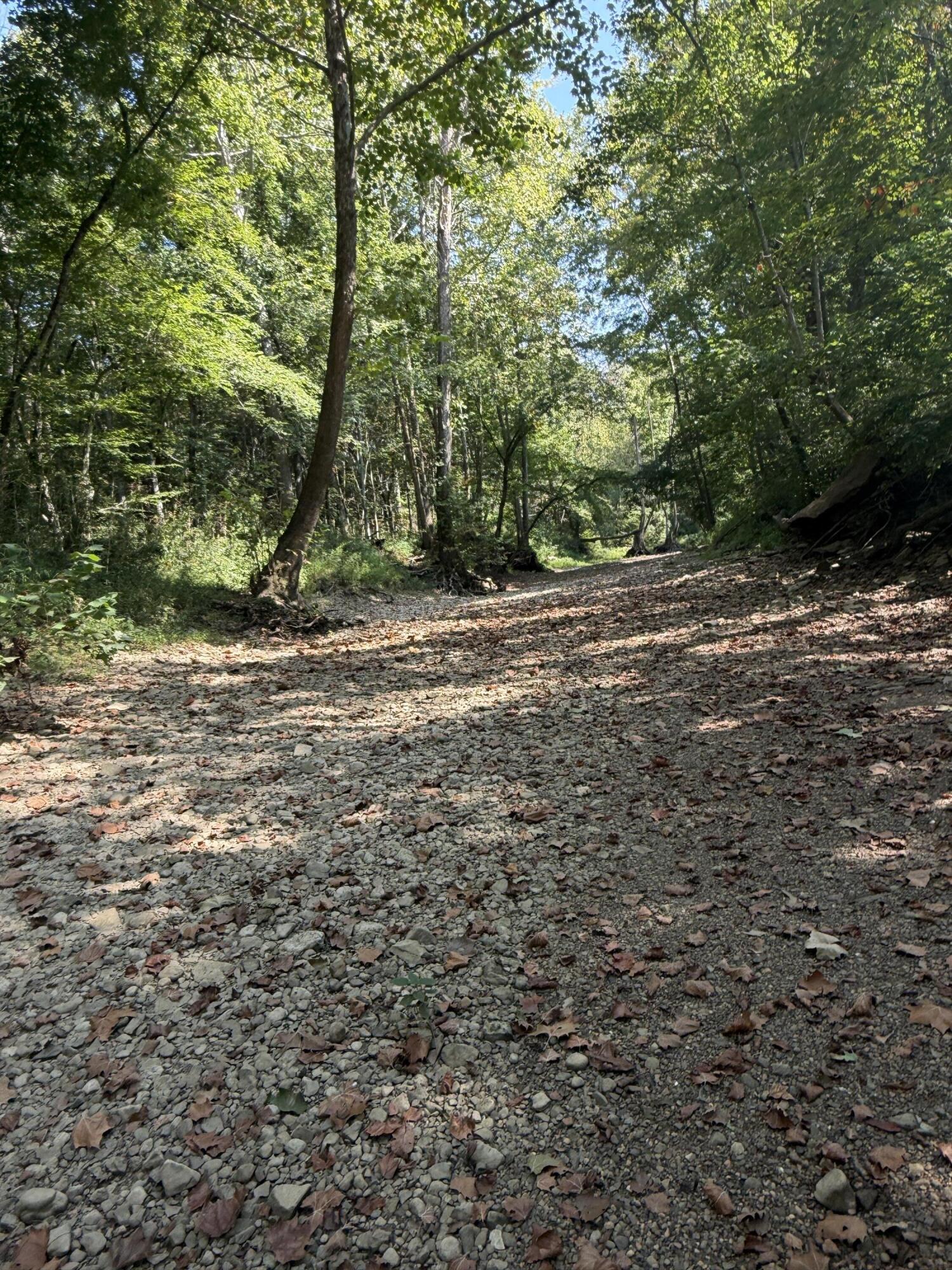 0 Phillips Hollow Road Property Photo 20