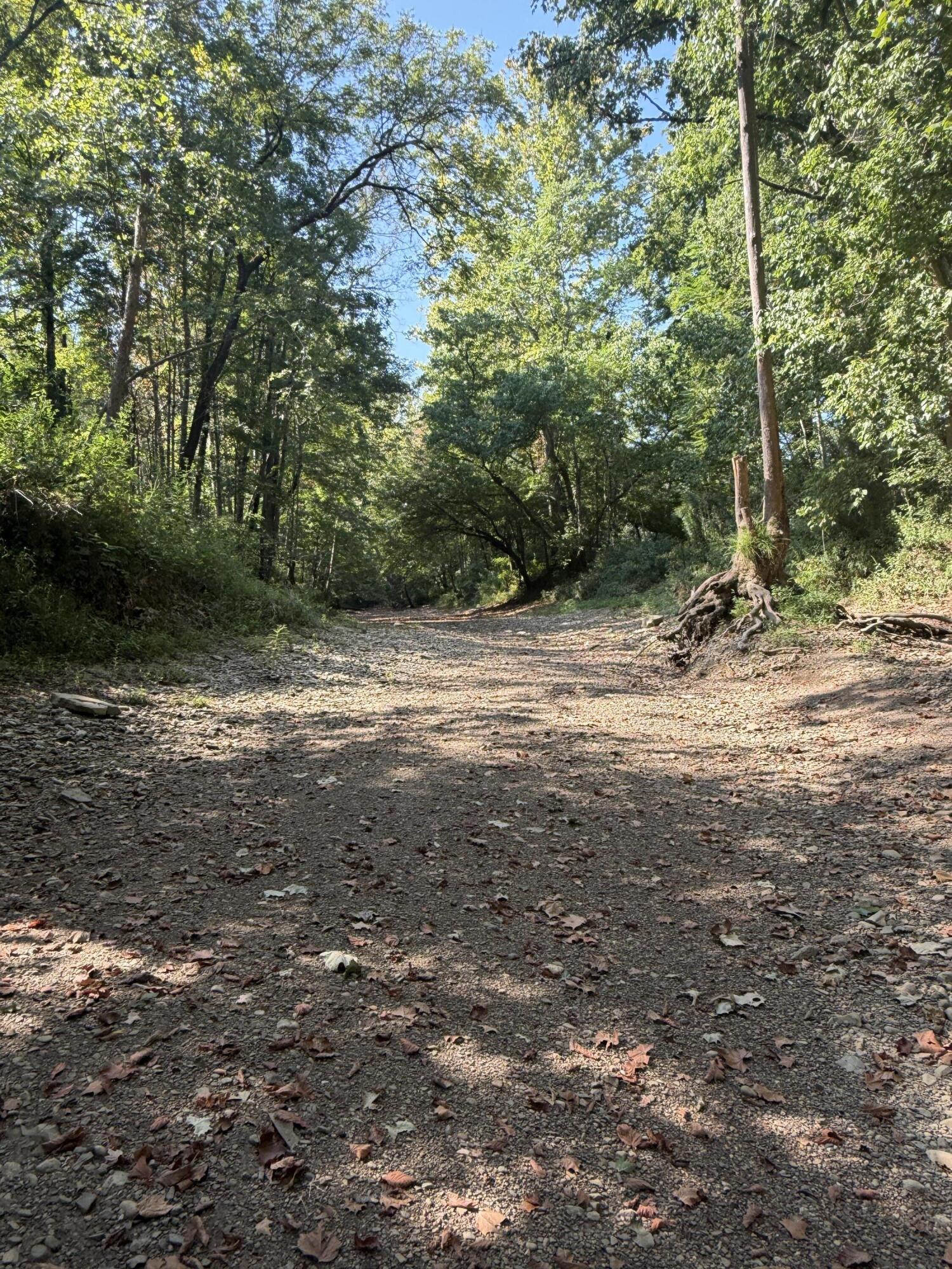 0 Phillips Hollow Road Property Photo 21
