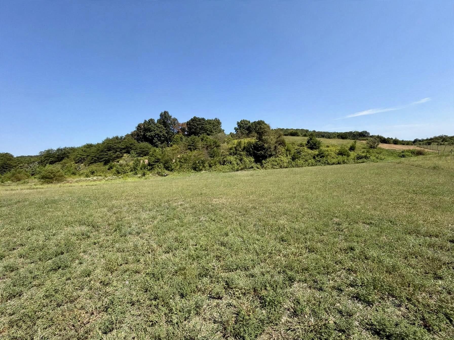 333 Turkey Lp Property Photo 9