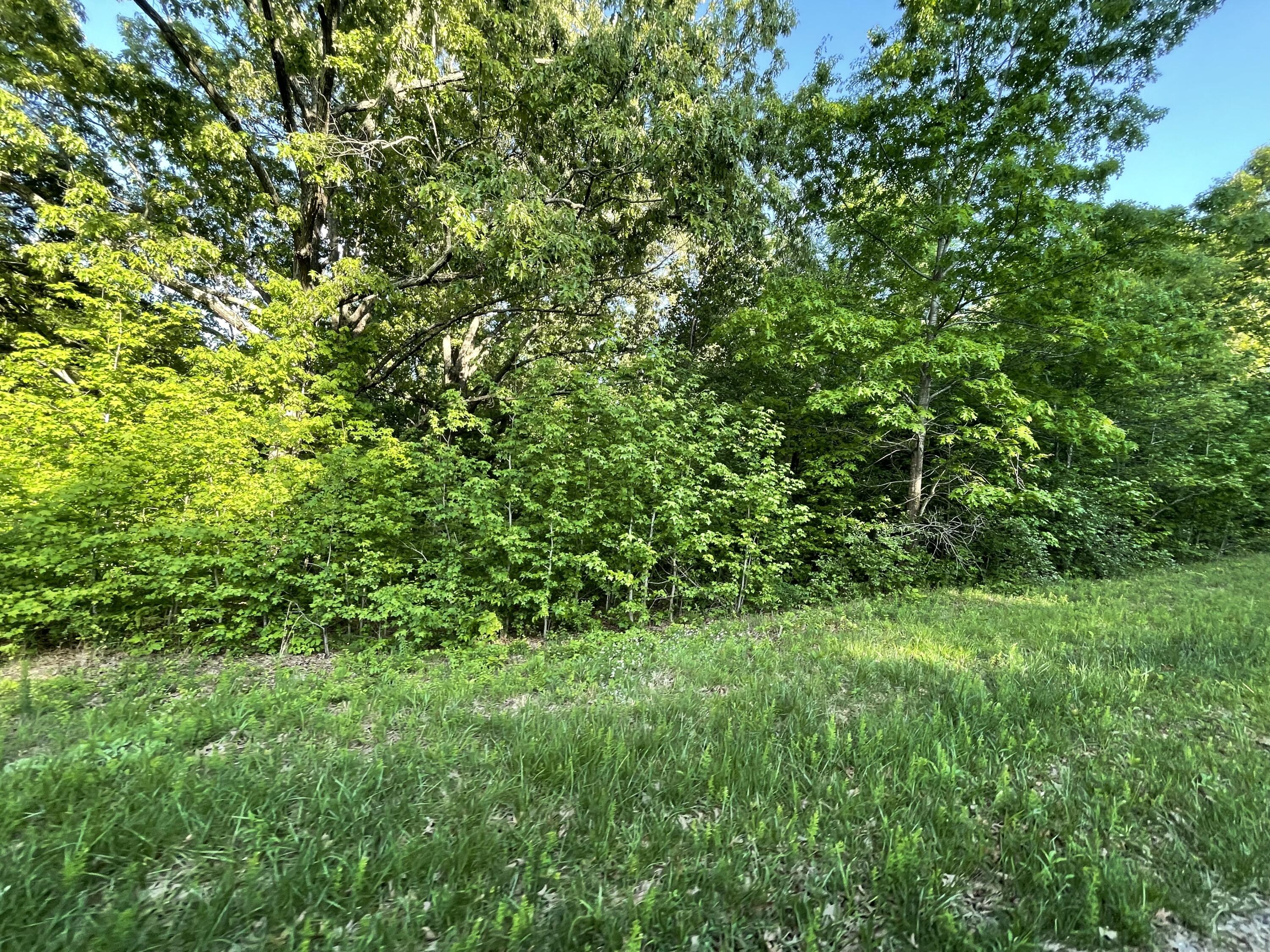 Lots 1x Property Photo 5