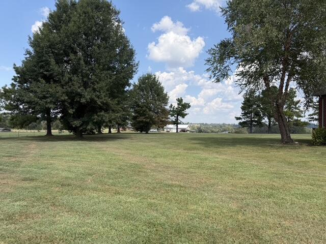 460 B White Road Property Photo 6