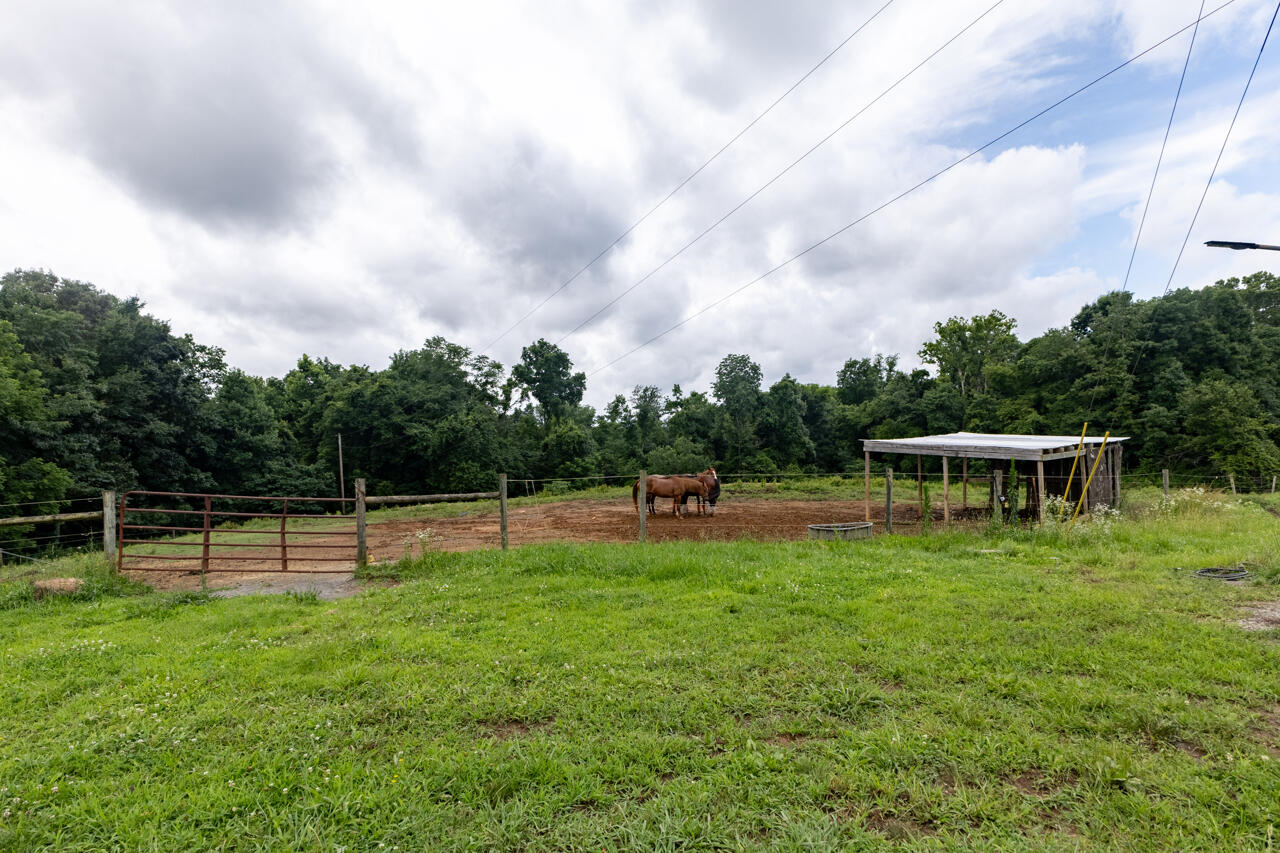 264 Muddy Fork Lane Property Photo 58