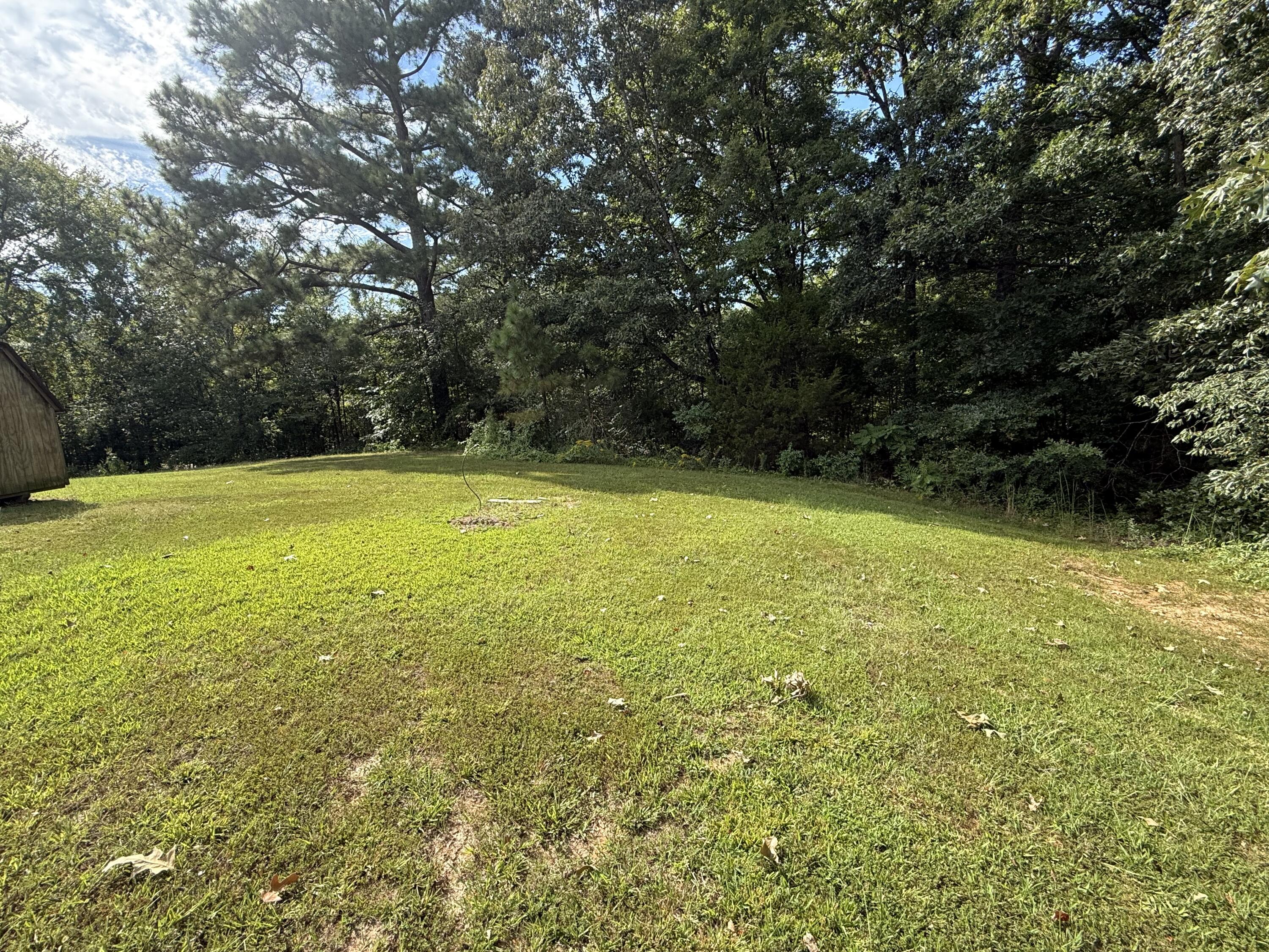 525 Peeler Road Property Photo 21