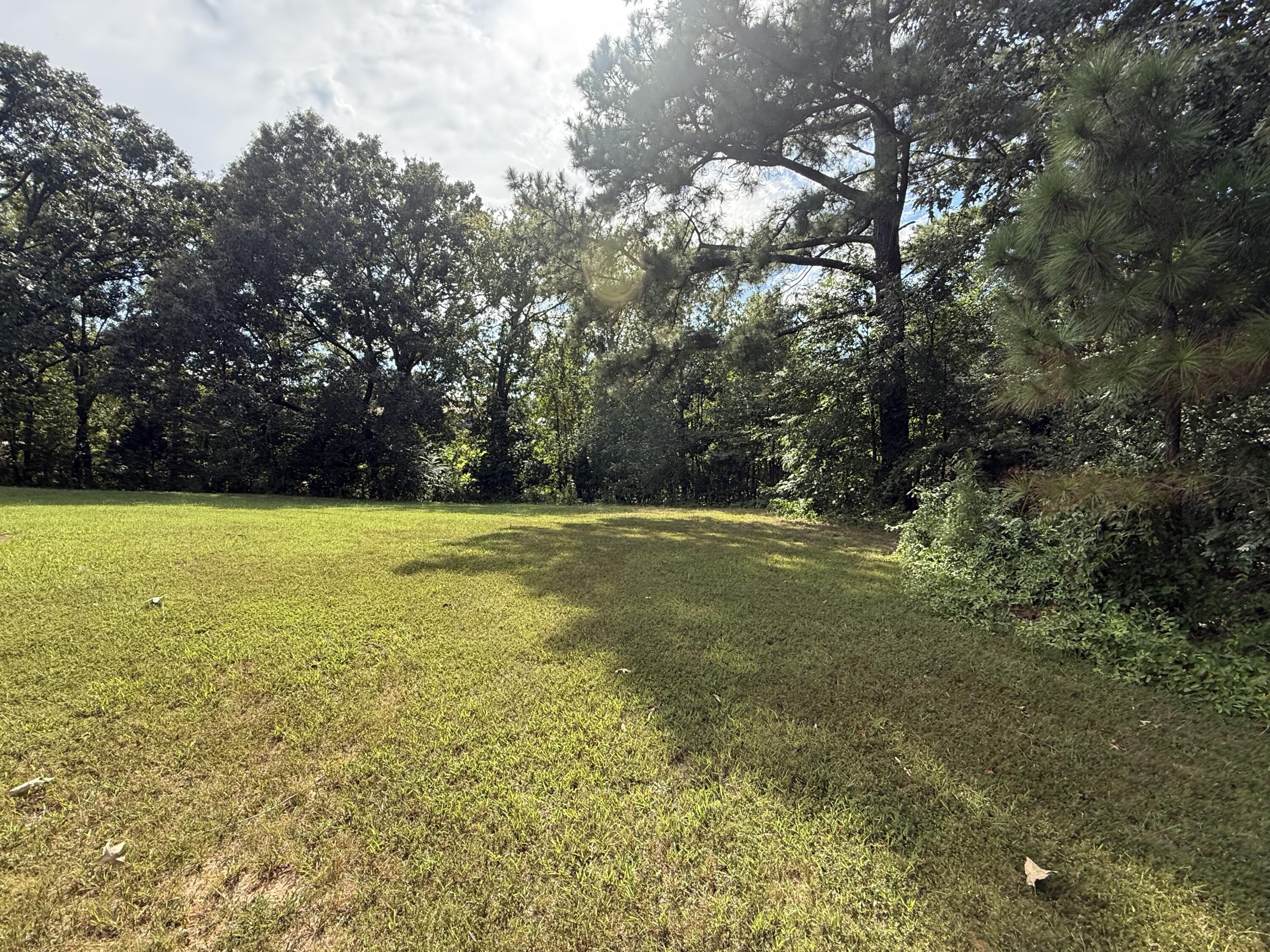 525 Peeler Road Property Photo 22