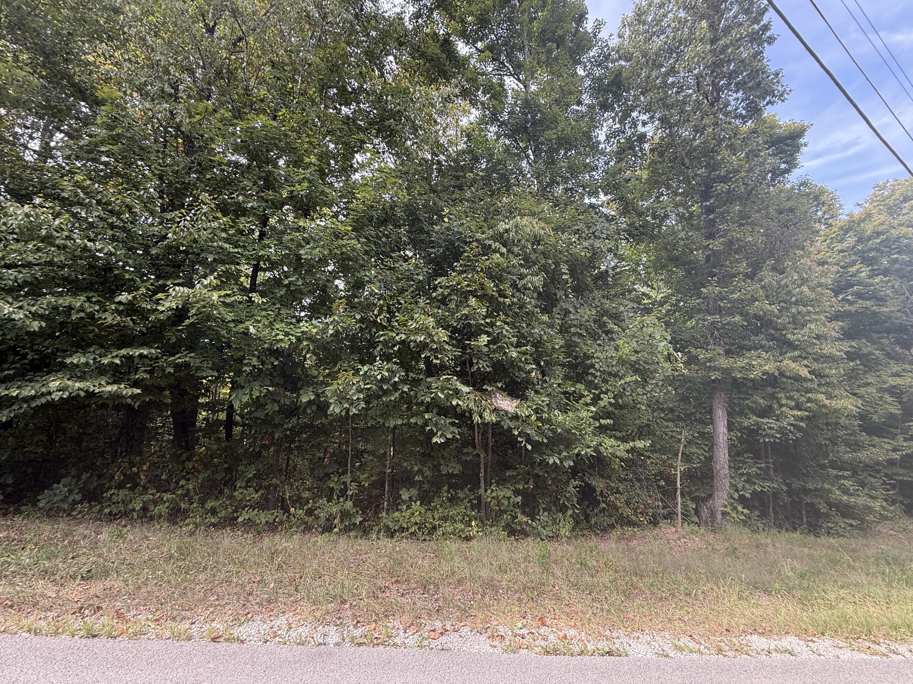 379 Ramseys Point Road Property Photo 11