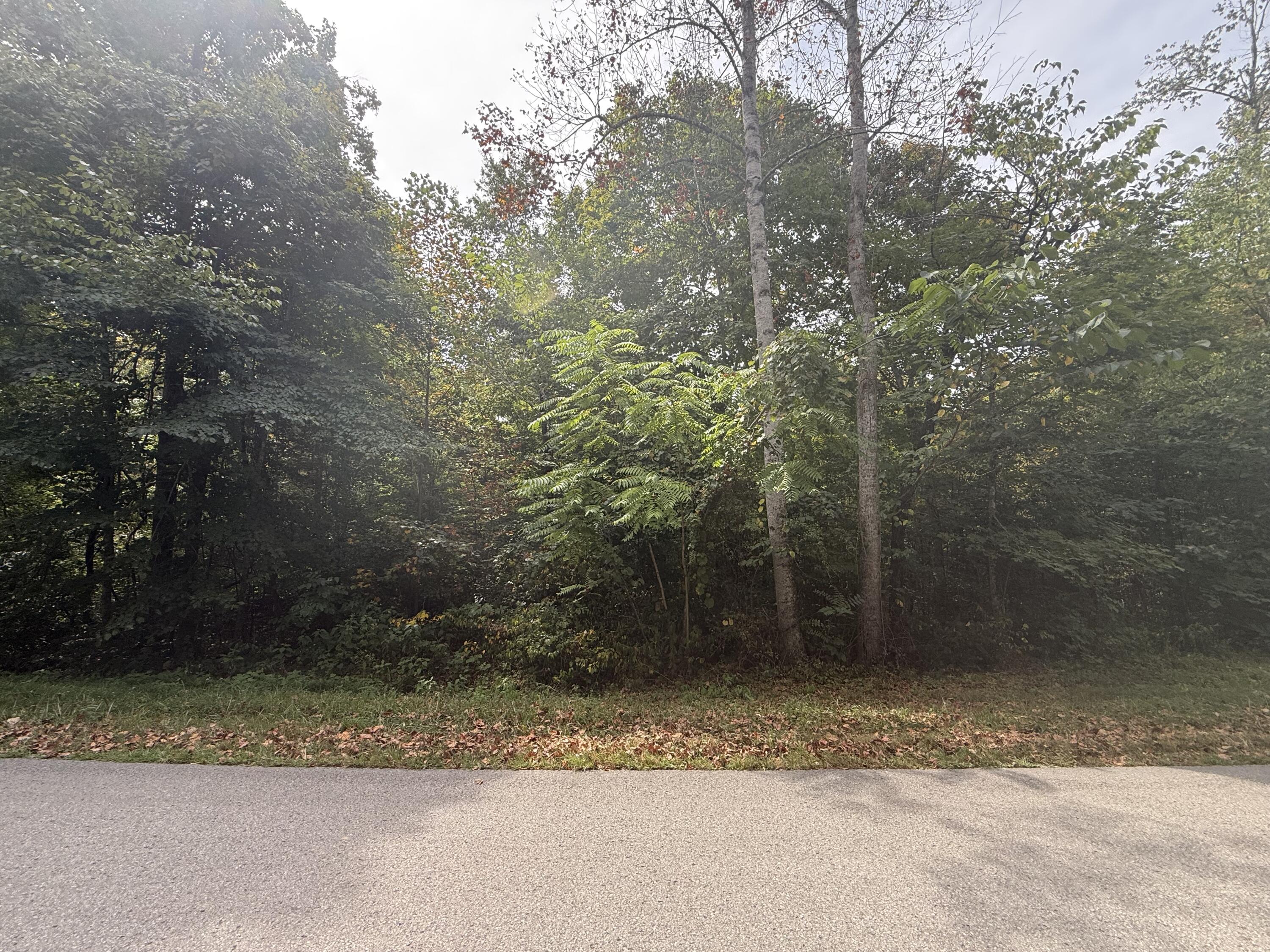 379 Ramseys Point Road Property Photo 17