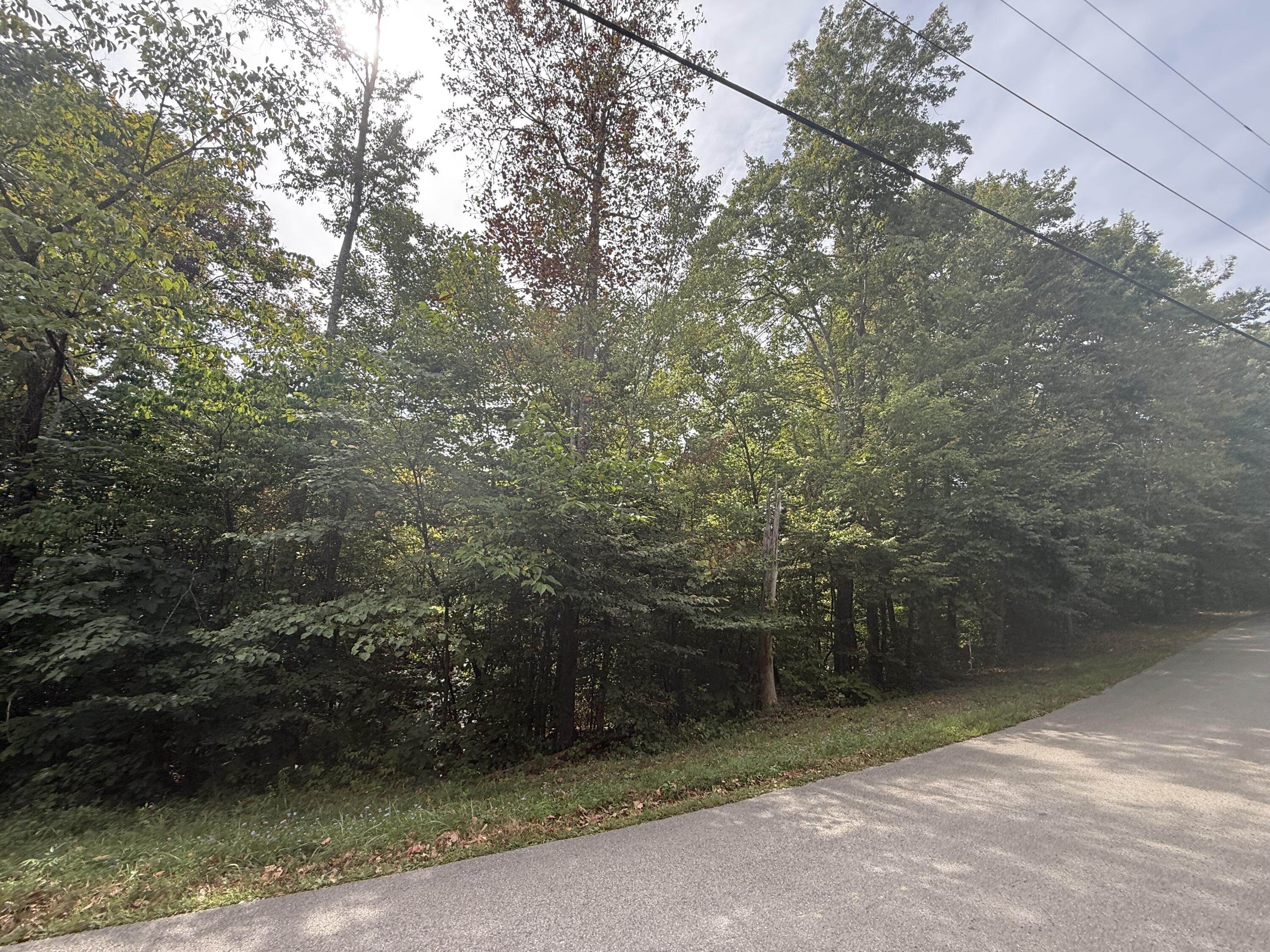 379 Ramseys Point Road Property Photo 18