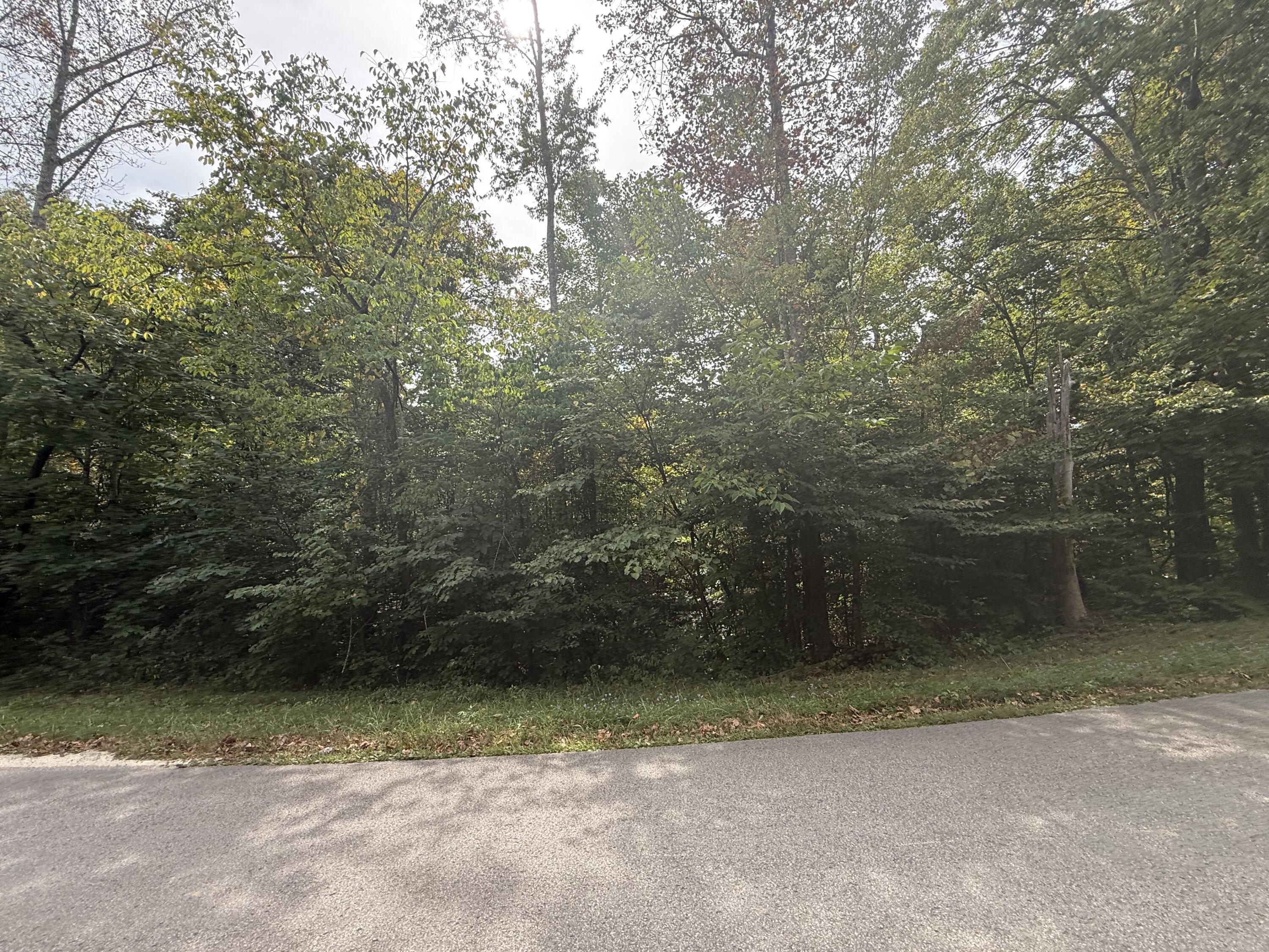 379 Ramseys Point Road Property Photo 19