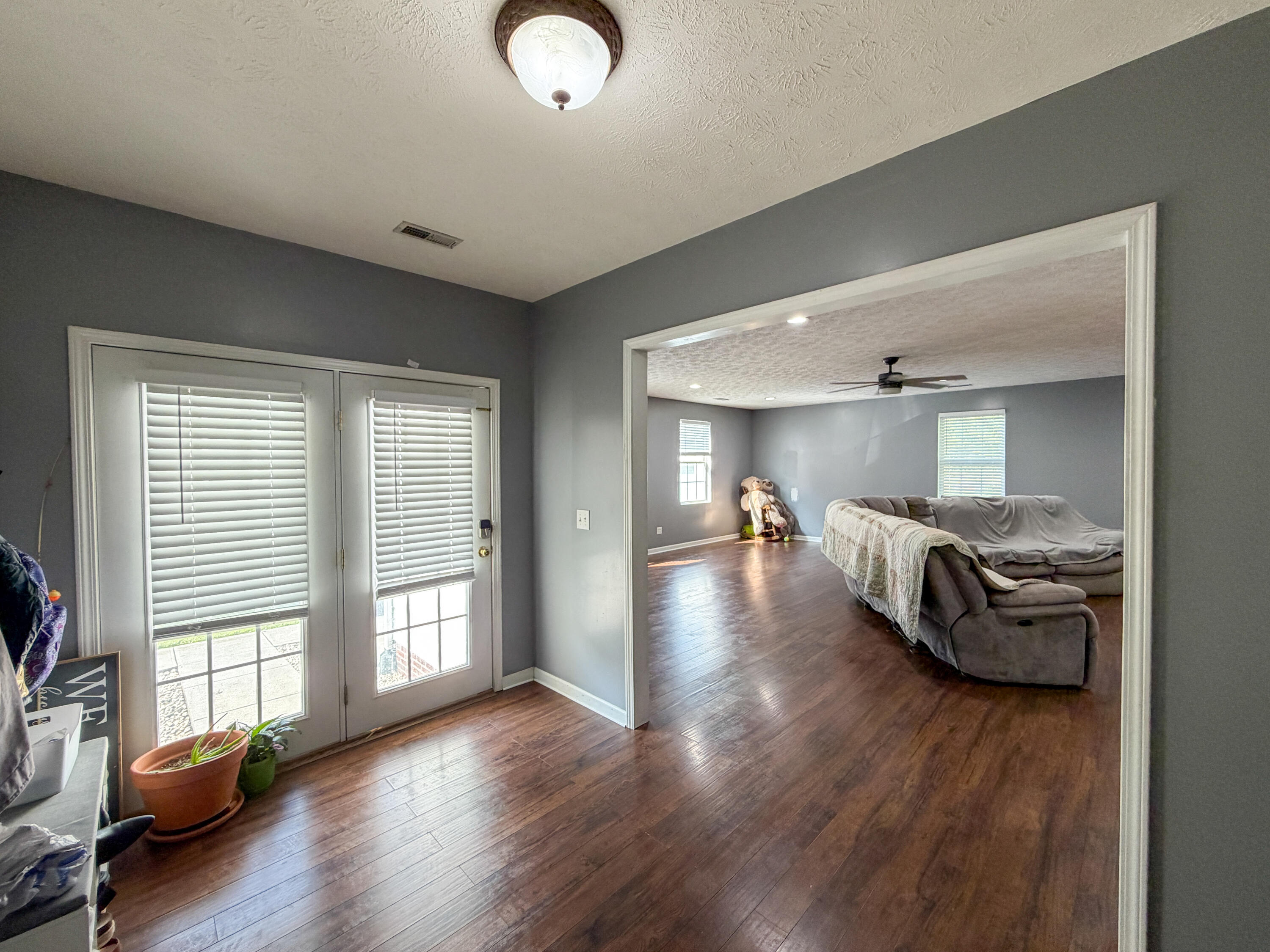17 Proffitt Street Property Photo 5