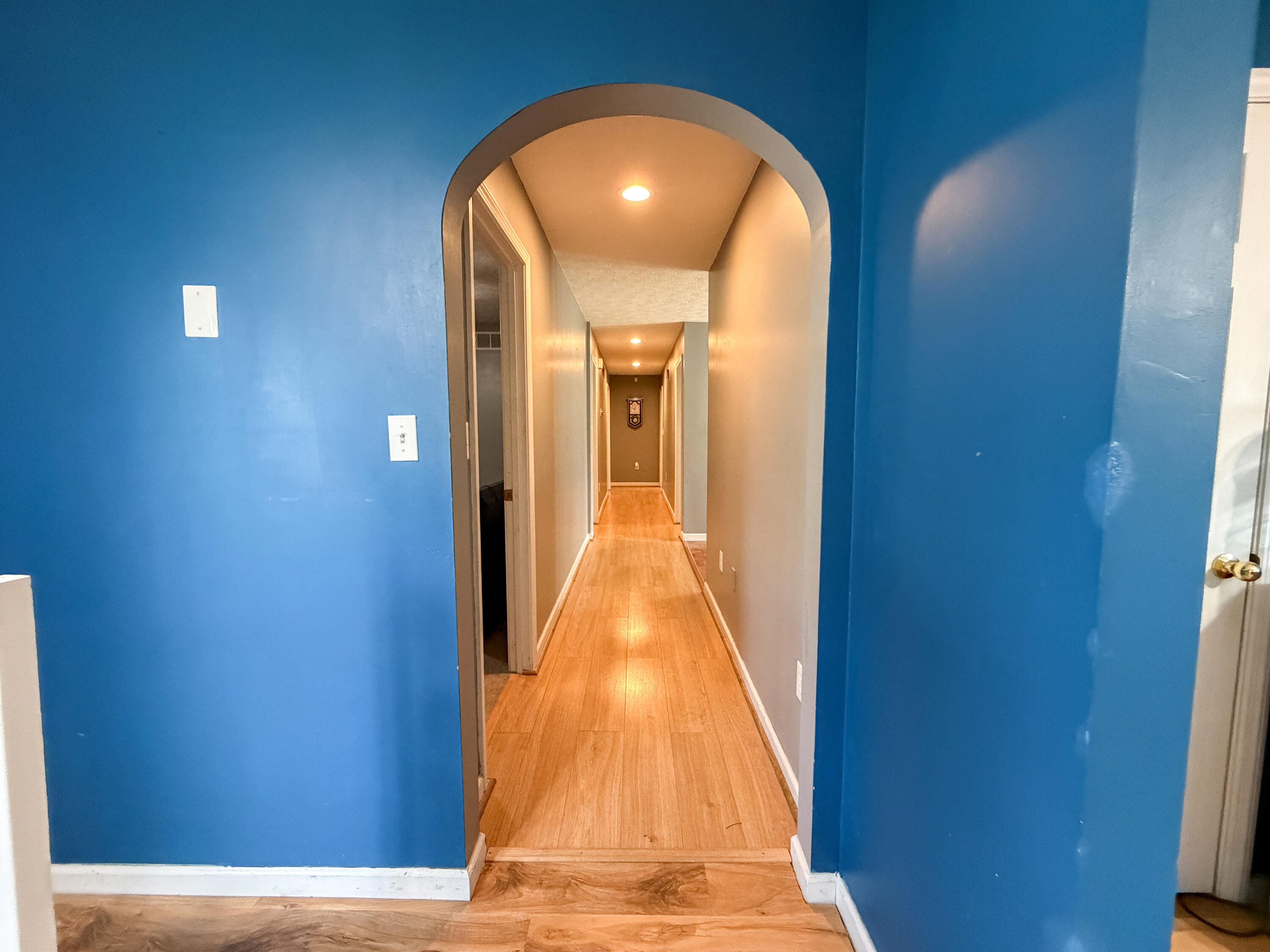 17 Proffitt Street Property Photo 13
