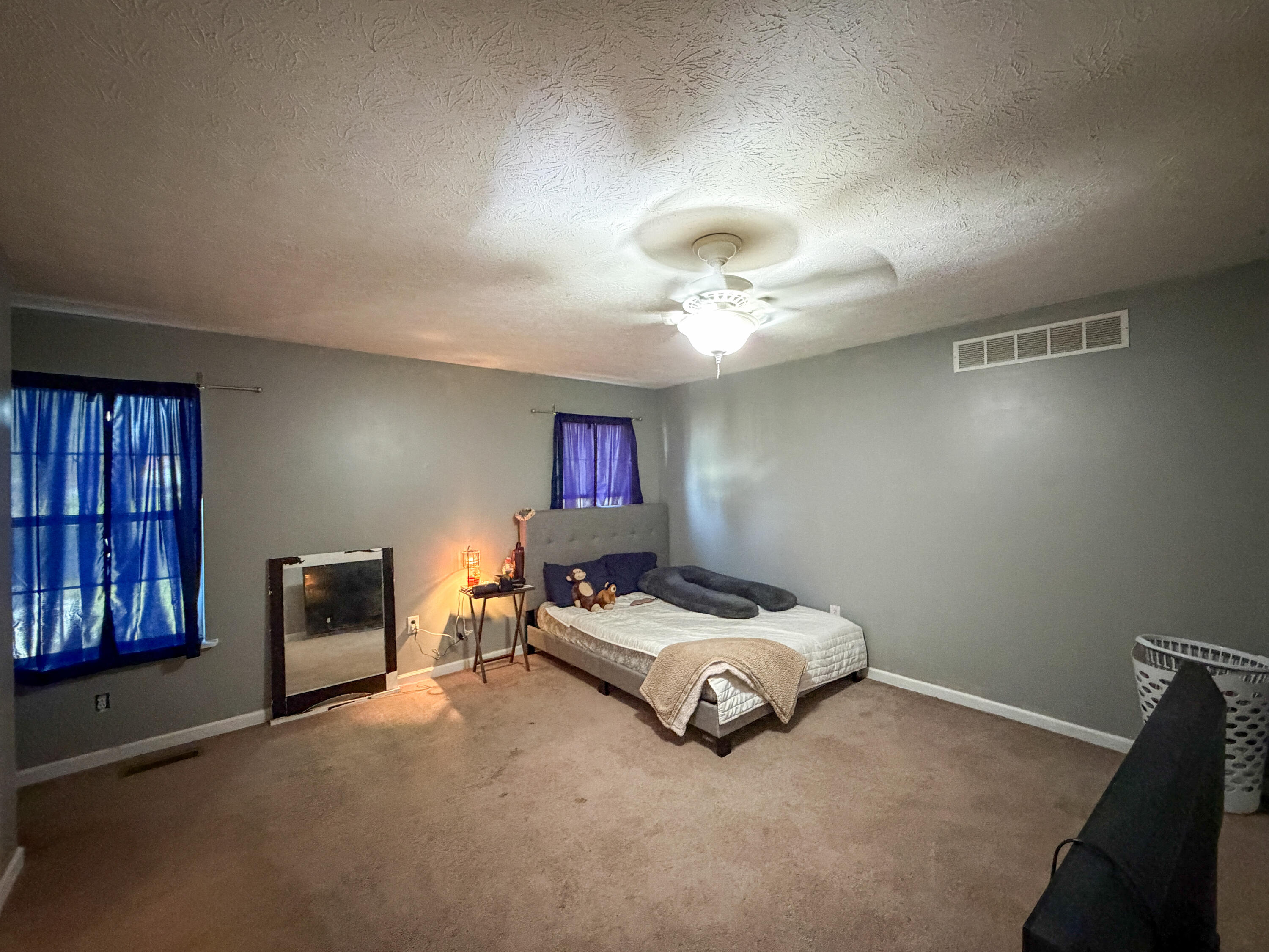 17 Proffitt Street Property Photo 14