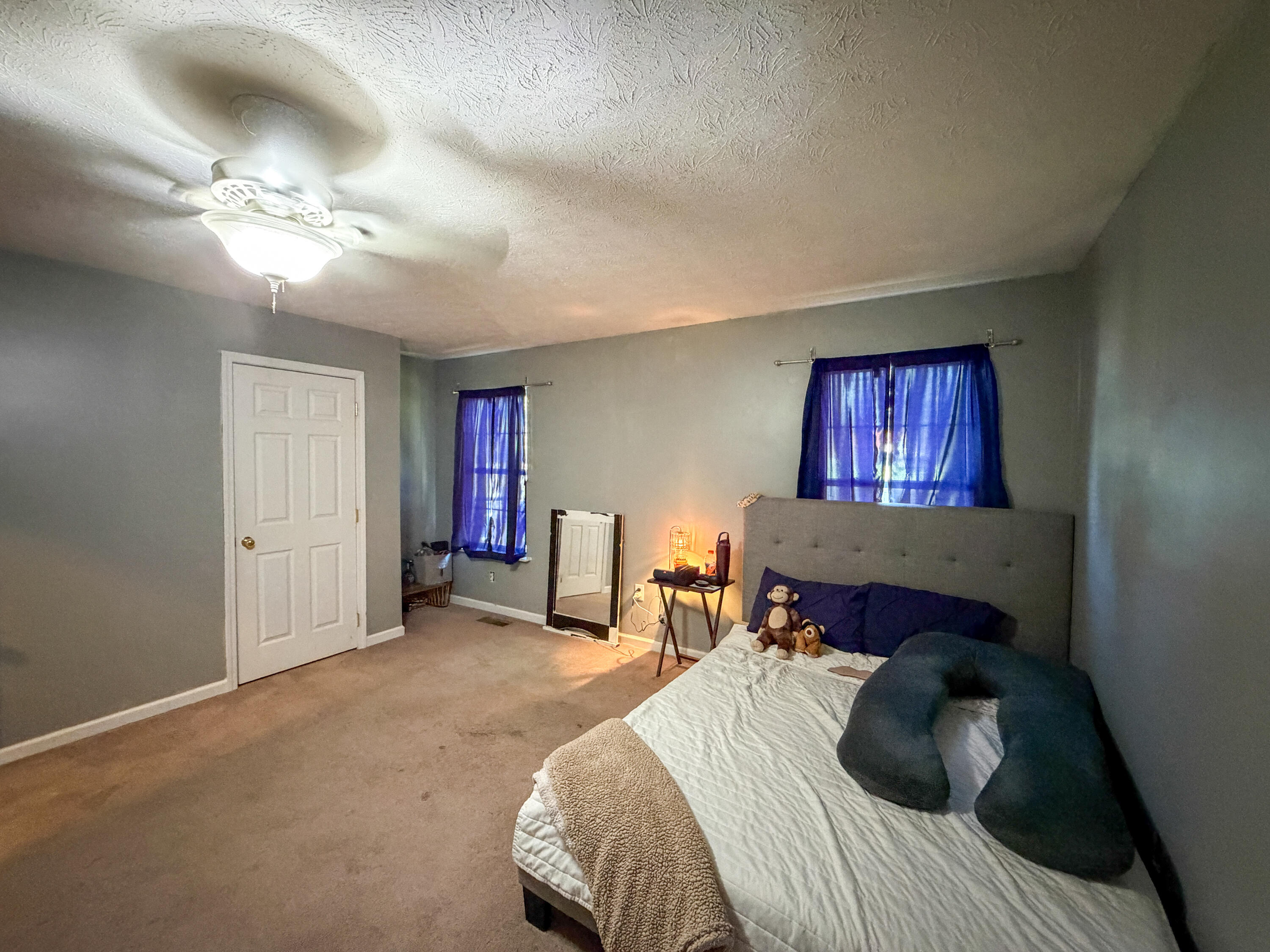 17 Proffitt Street Property Photo 15