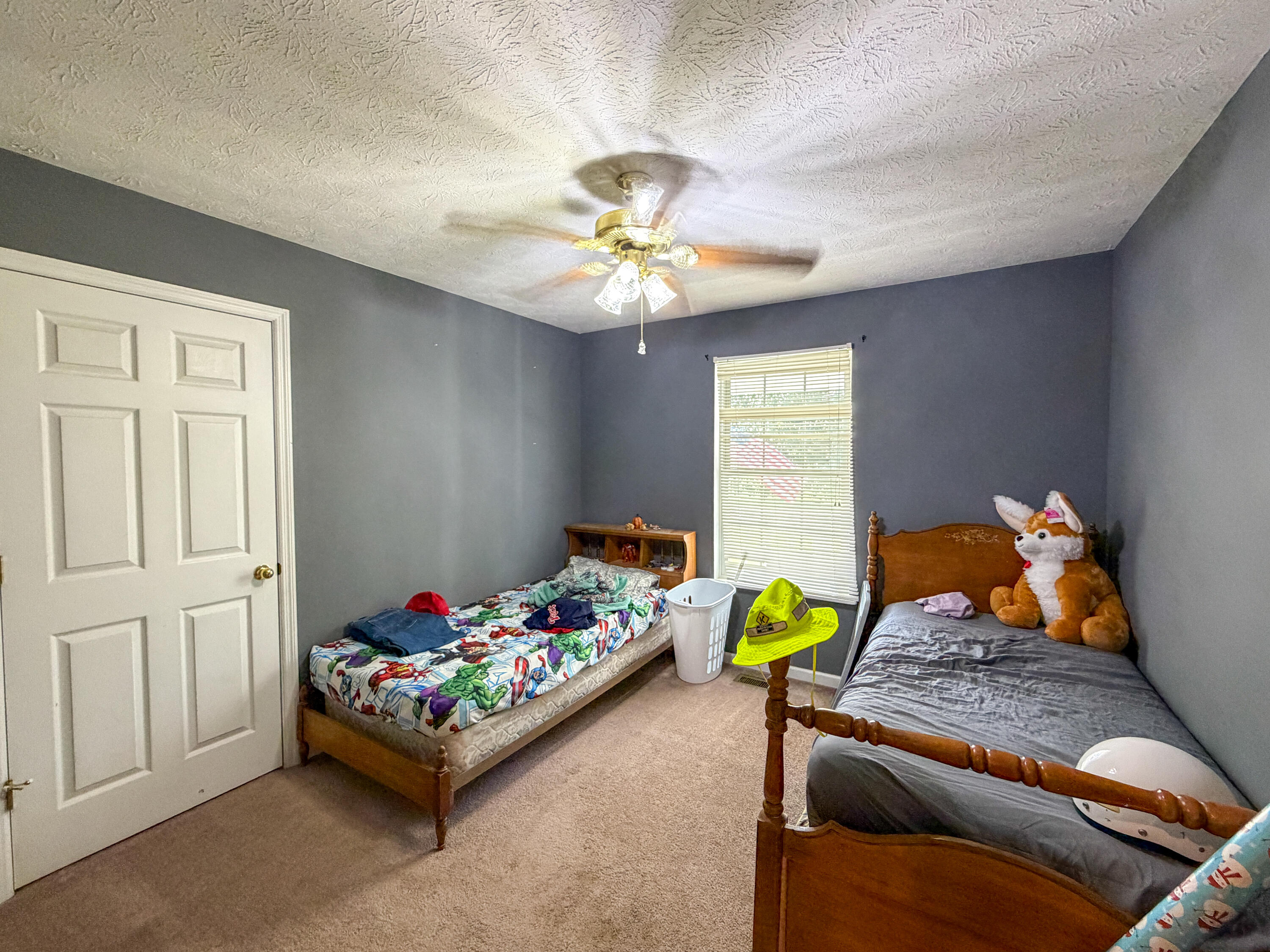 17 Proffitt Street Property Photo 16