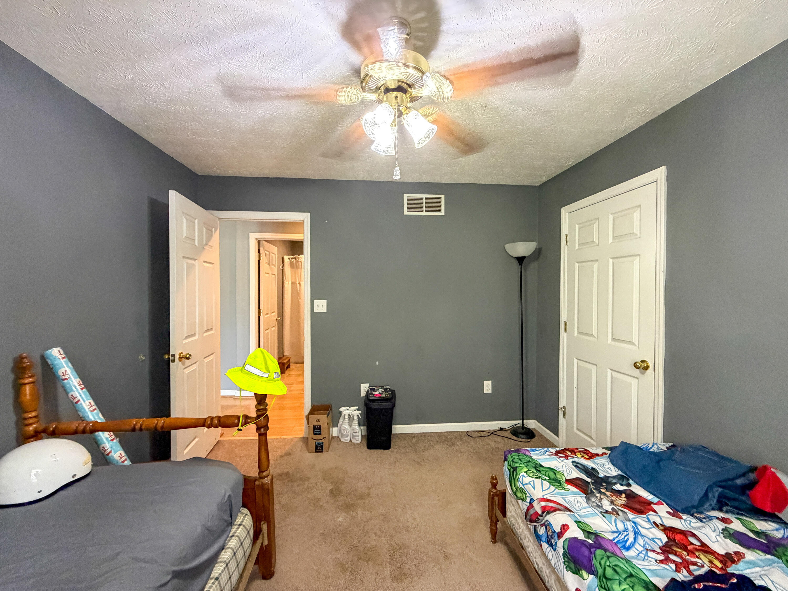 17 Proffitt Street Property Photo 17