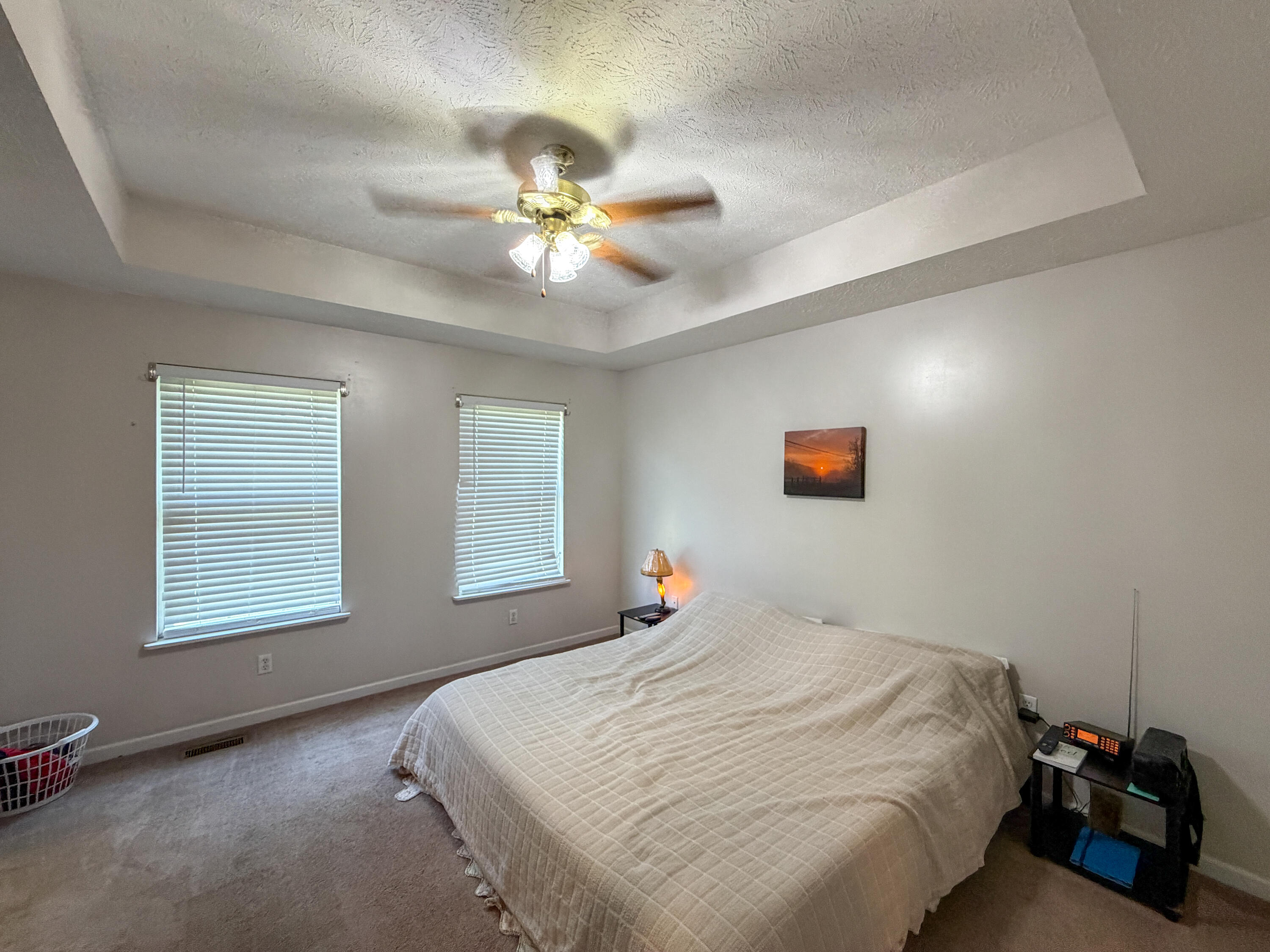 17 Proffitt Street Property Photo 20