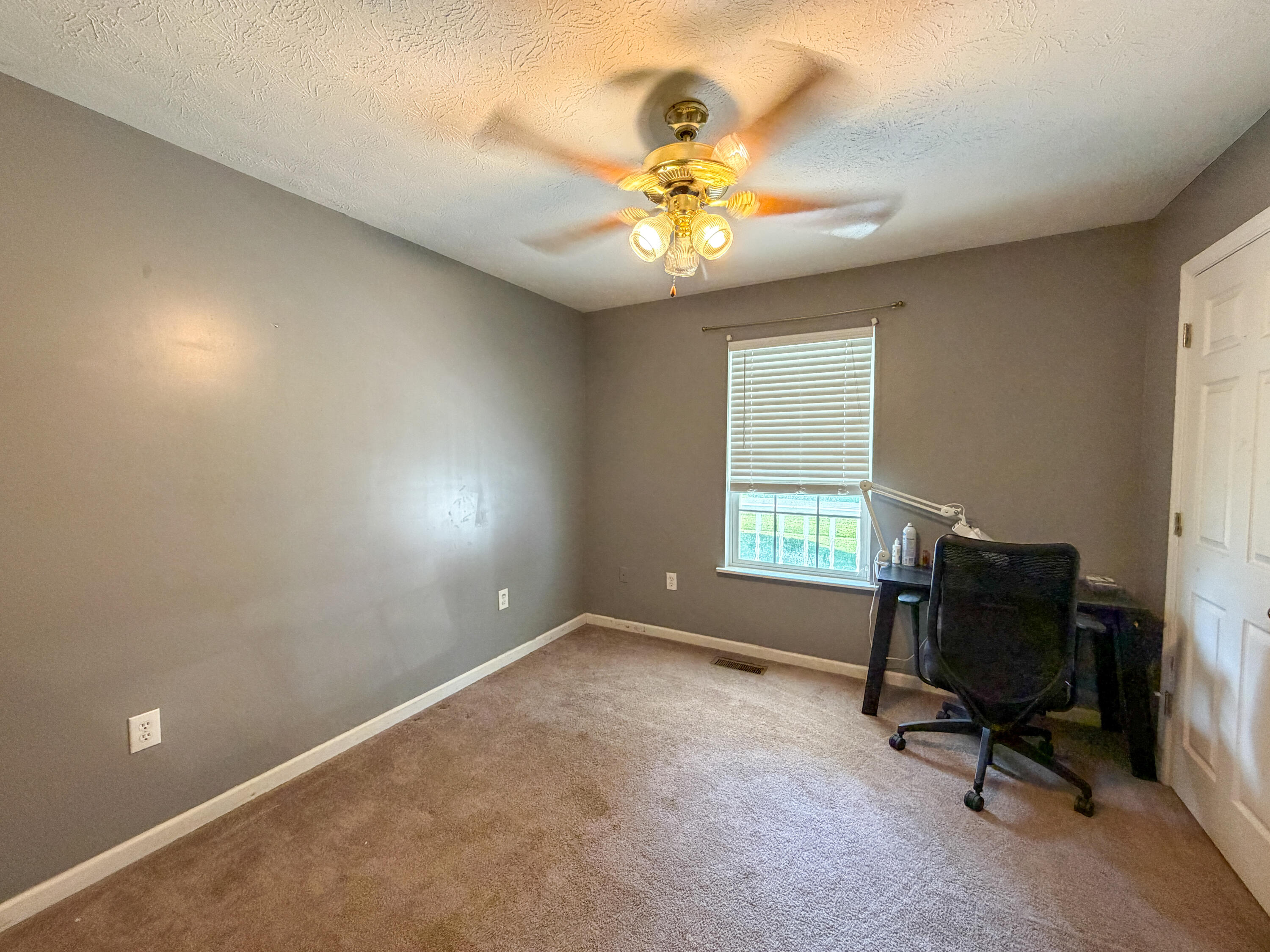 17 Proffitt Street Property Photo 22