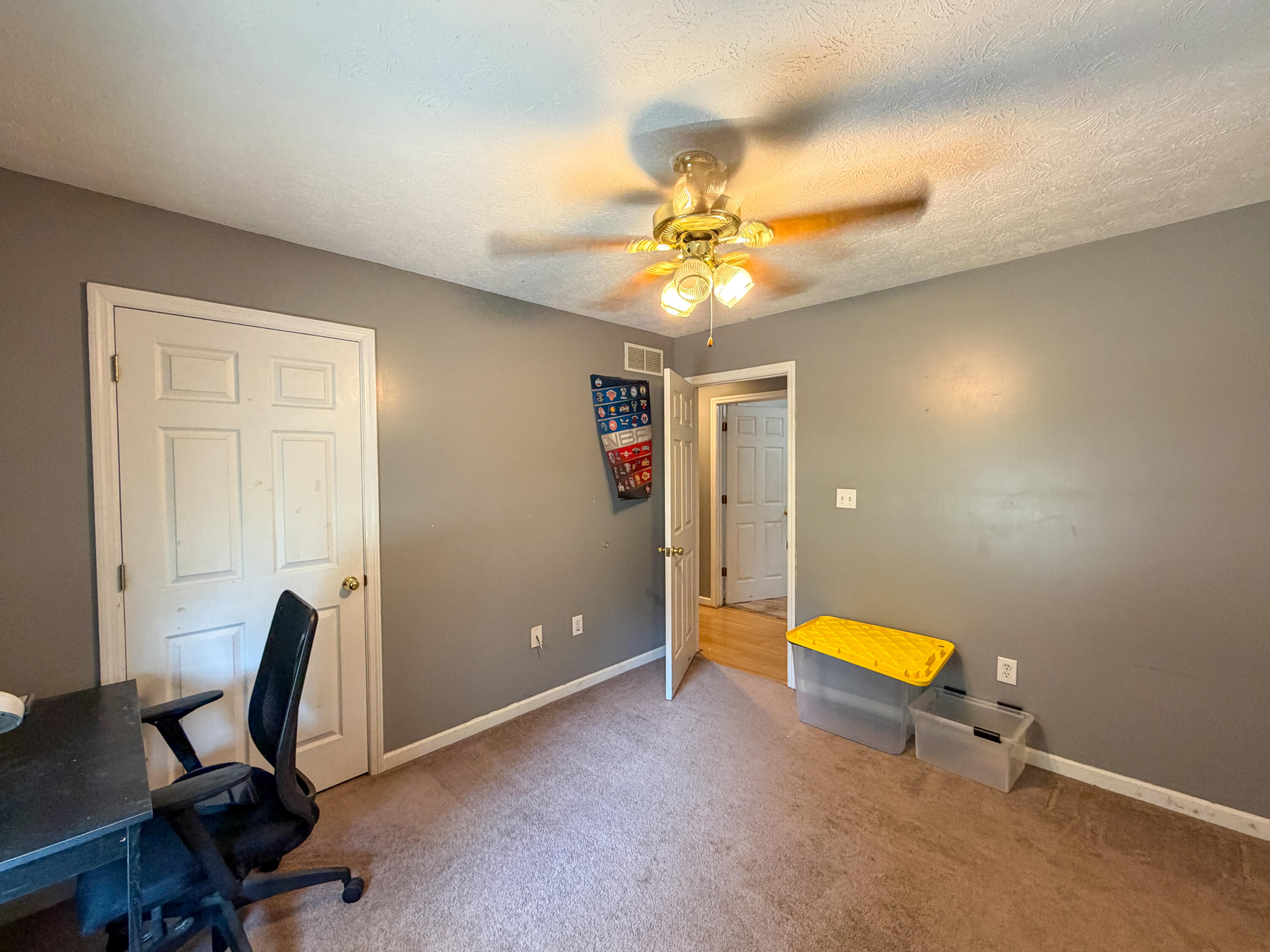 17 Proffitt Street Property Photo 23